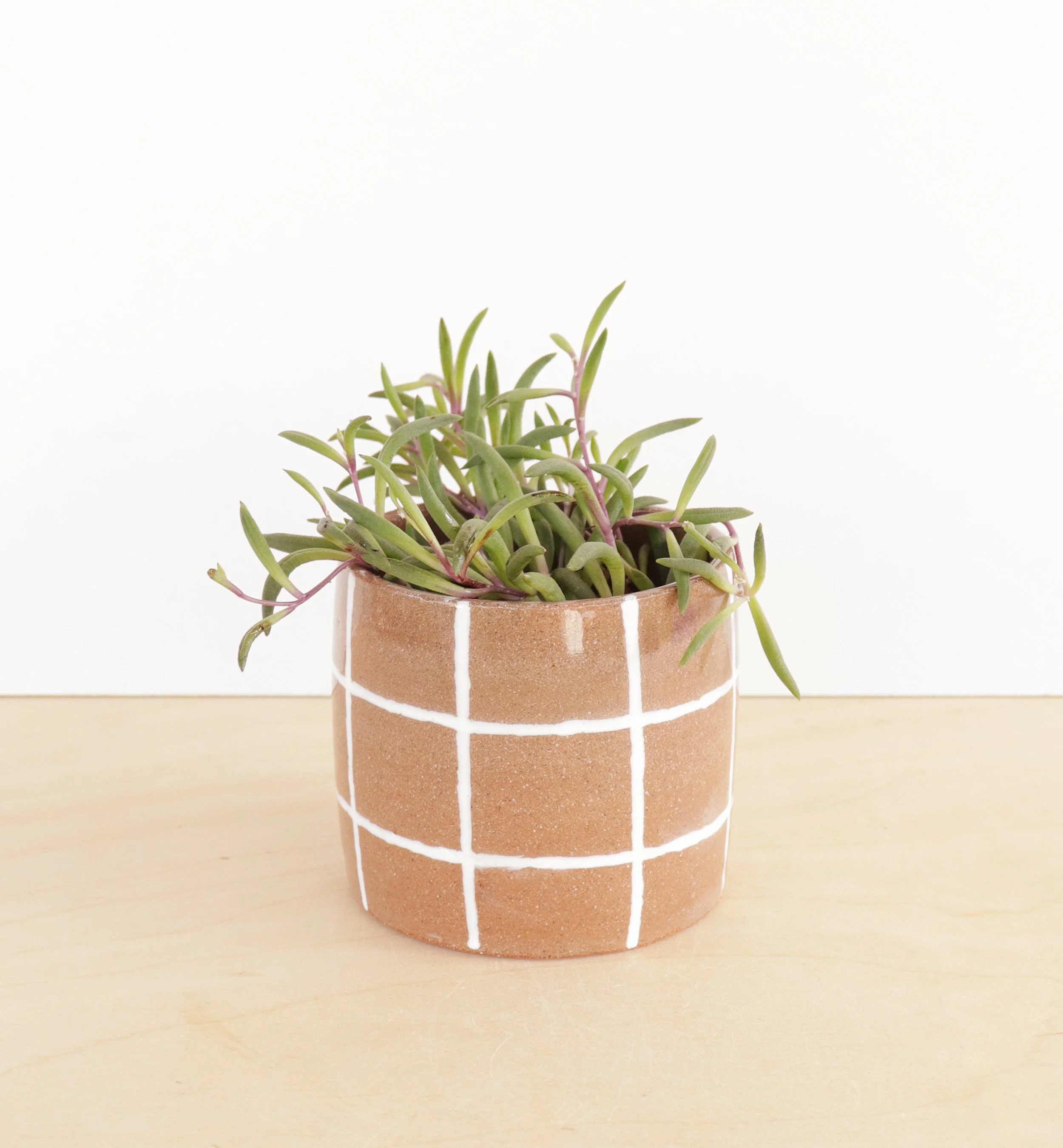 Grid Planter
