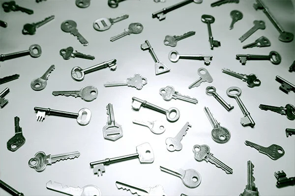 Four Keys to Staying Employed in the Future  未来保住工作的四个关键 