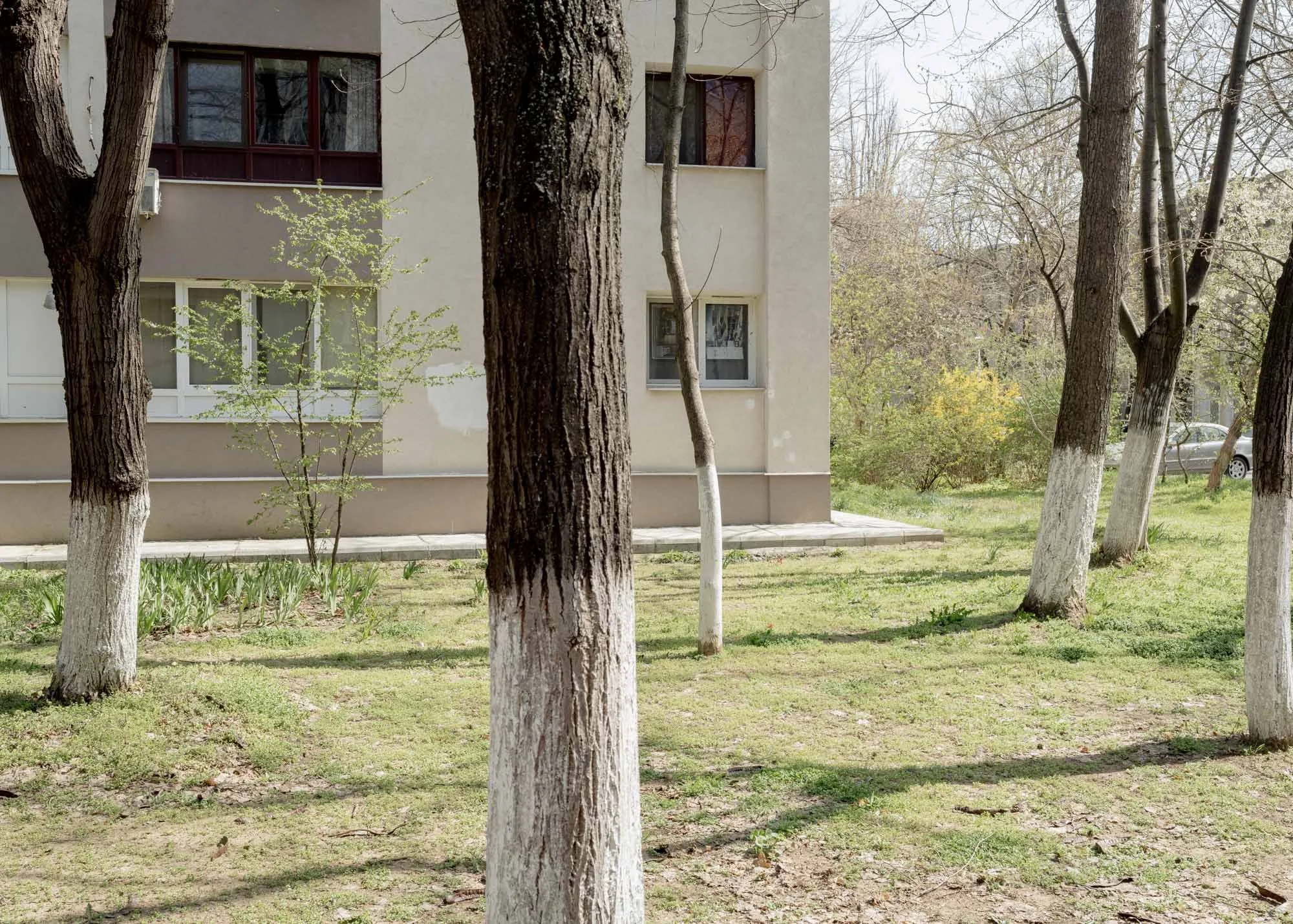 _DSF9650.JPG