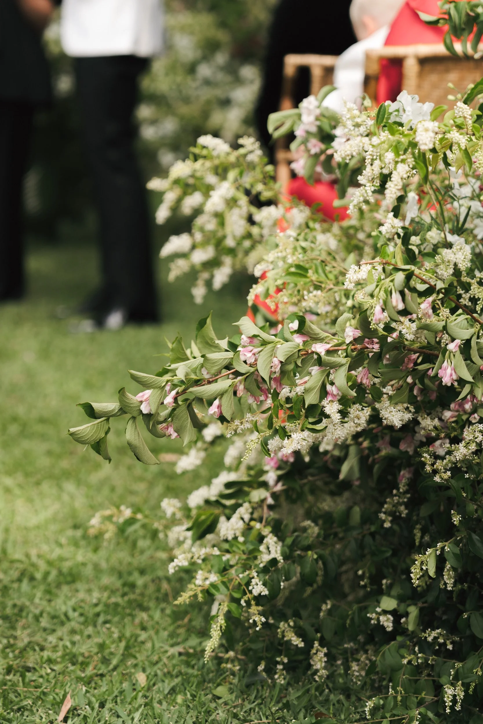 the-petal-project-holly-will-19.jpg