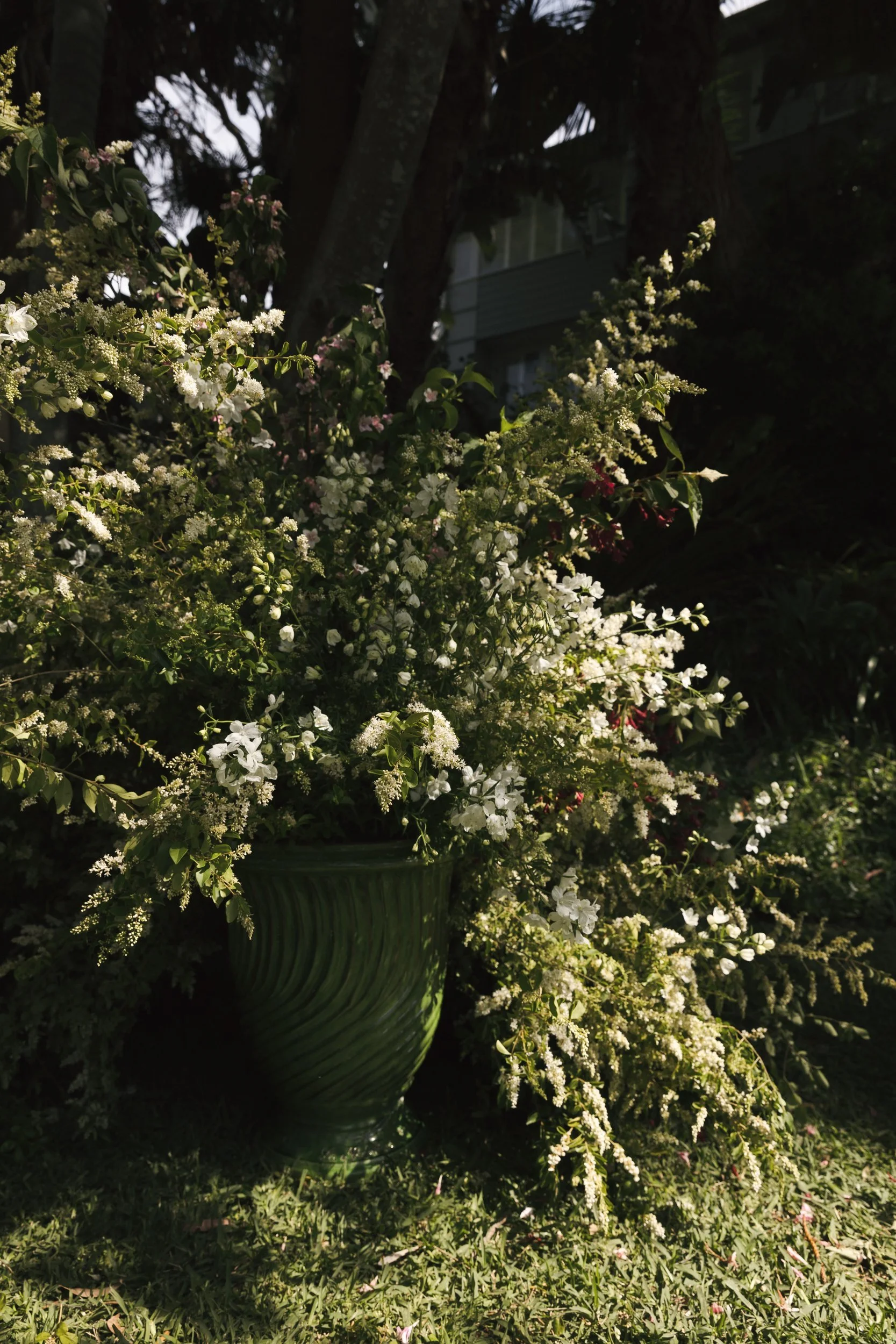 the-petal-project-holly-will-04.jpg