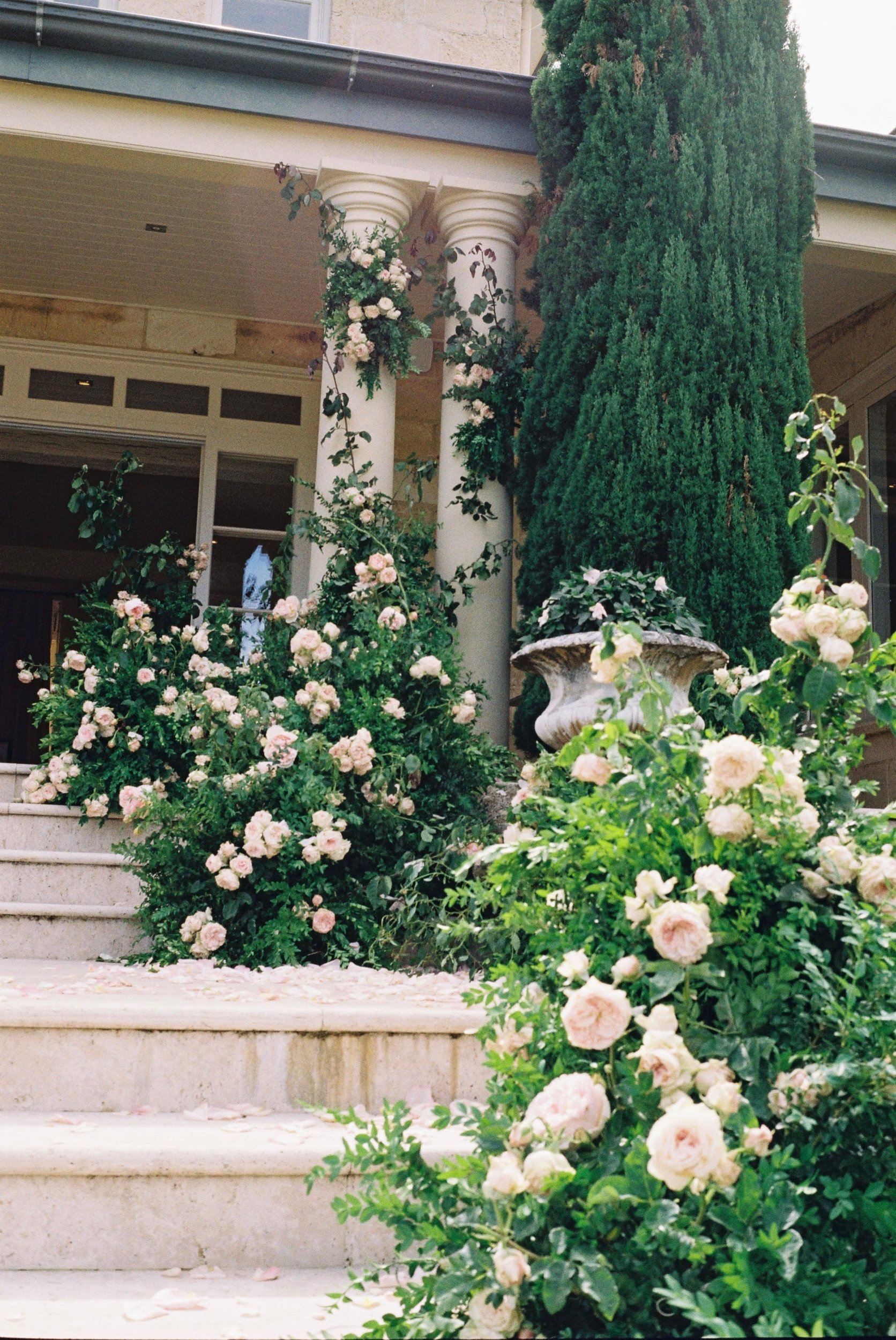 the-petal-project-tammy-matt-17.jpg