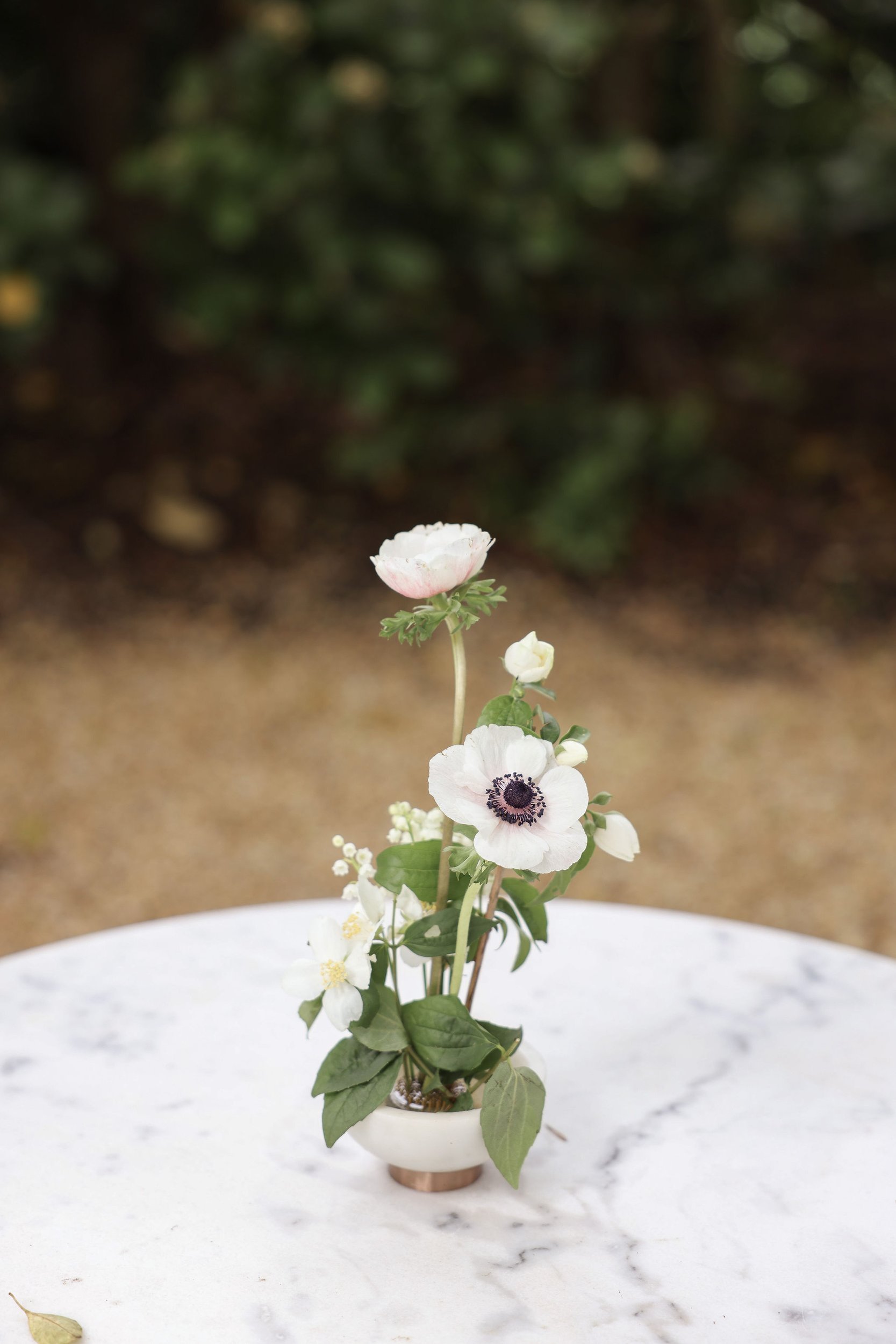 the-petal-project-jade-lachie-12.jpg