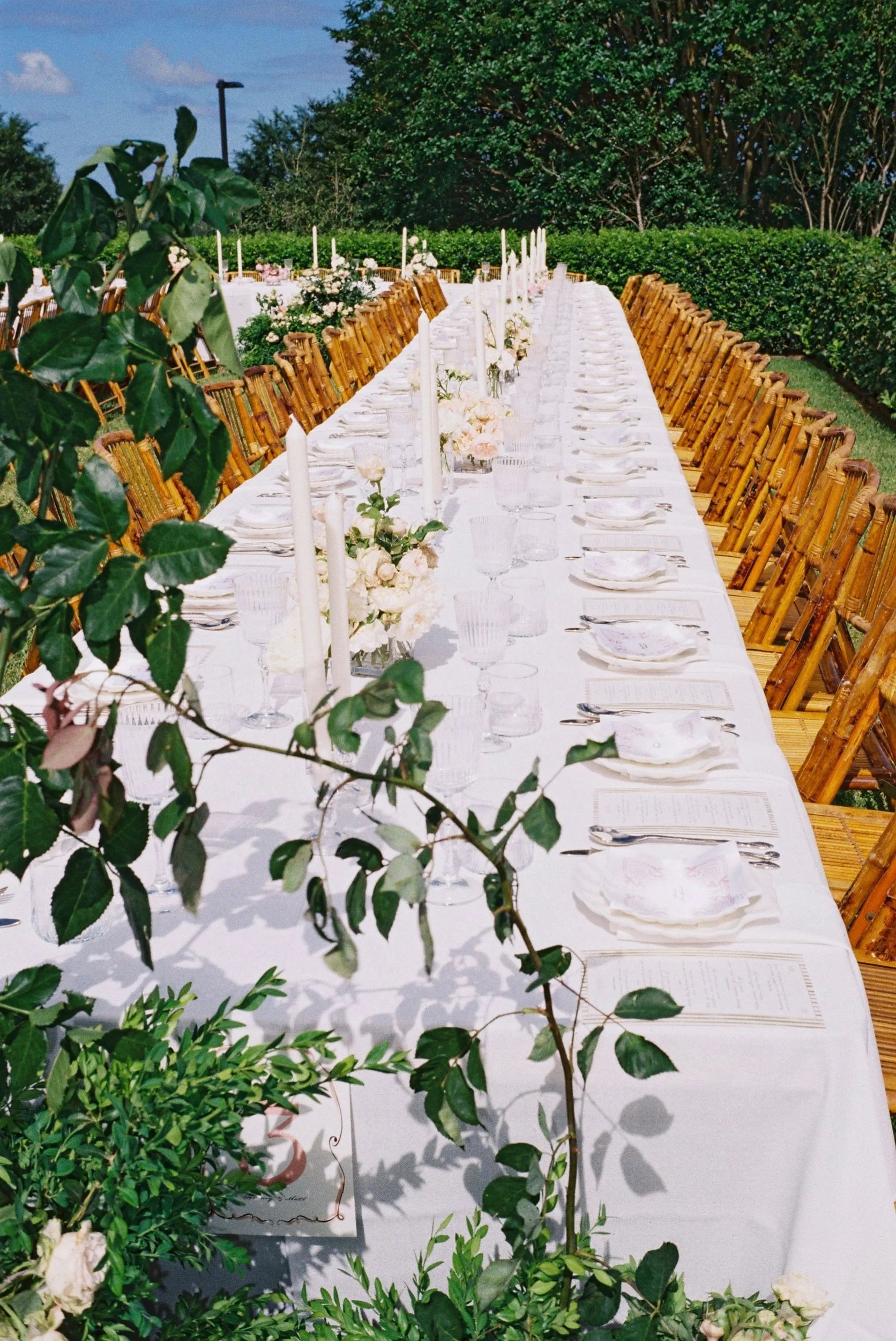 the-petal-project-tammy-matt-21.jpg
