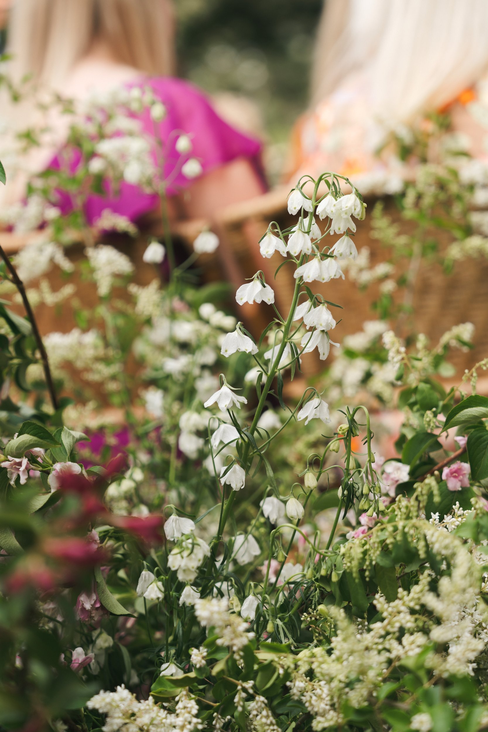 the-petal-project-holly-will-18.jpg