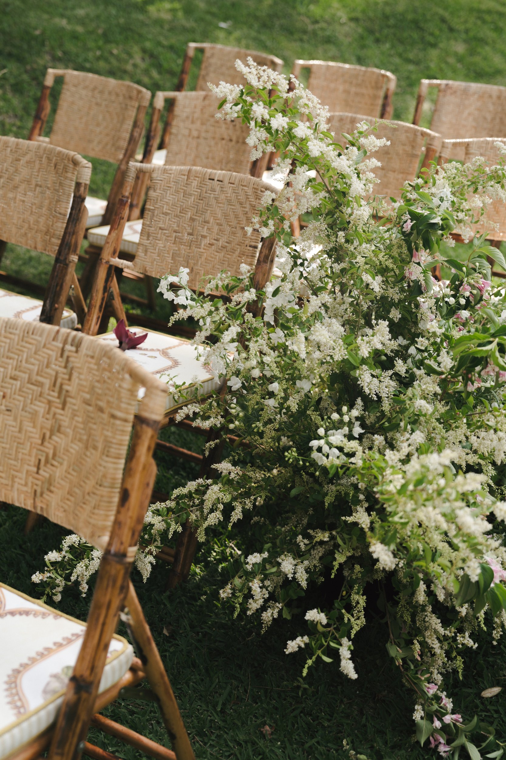 the-petal-project-holly-will-11.jpg