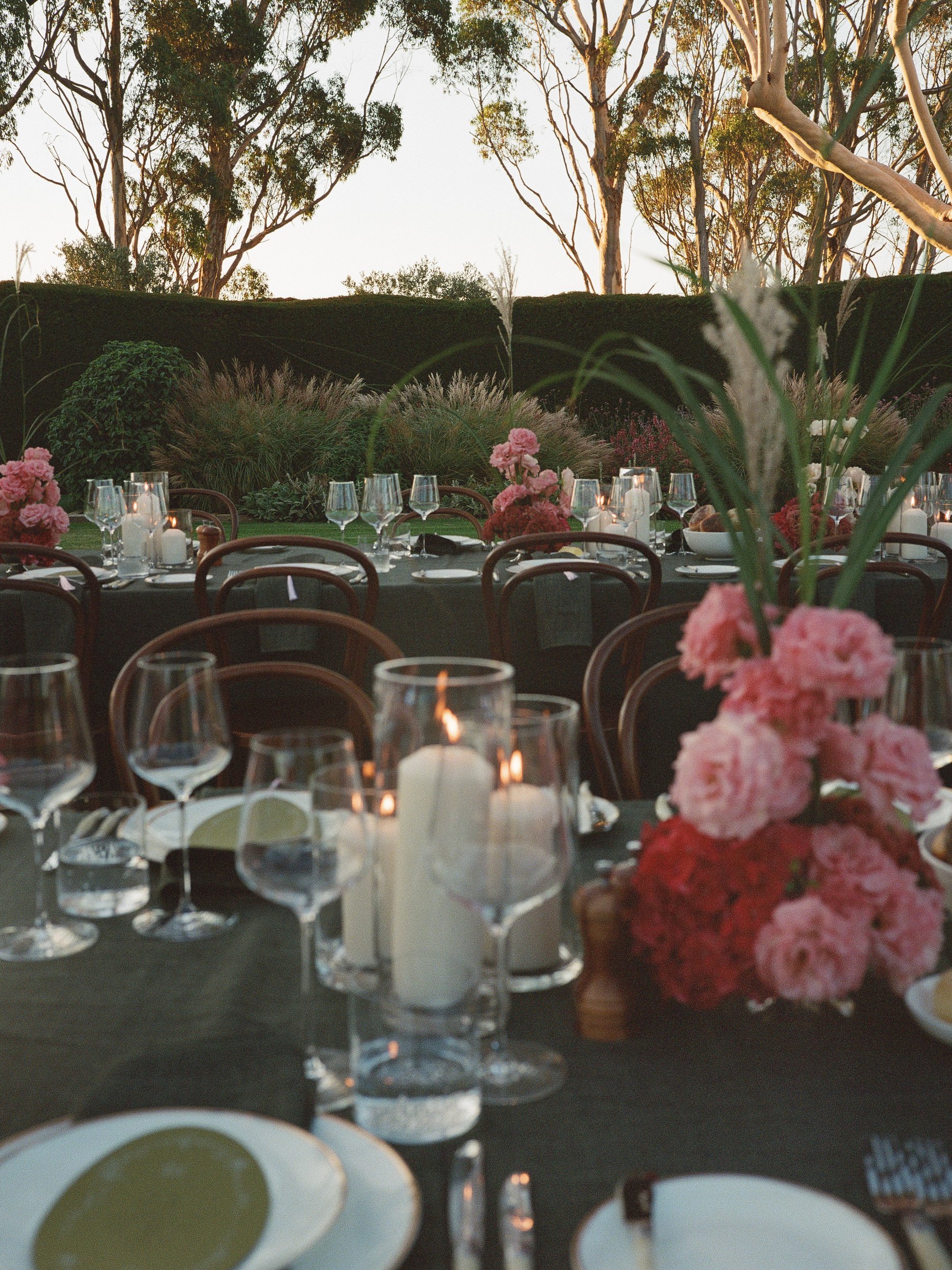 the-petal-project-ilsa-lanan-19.jpg