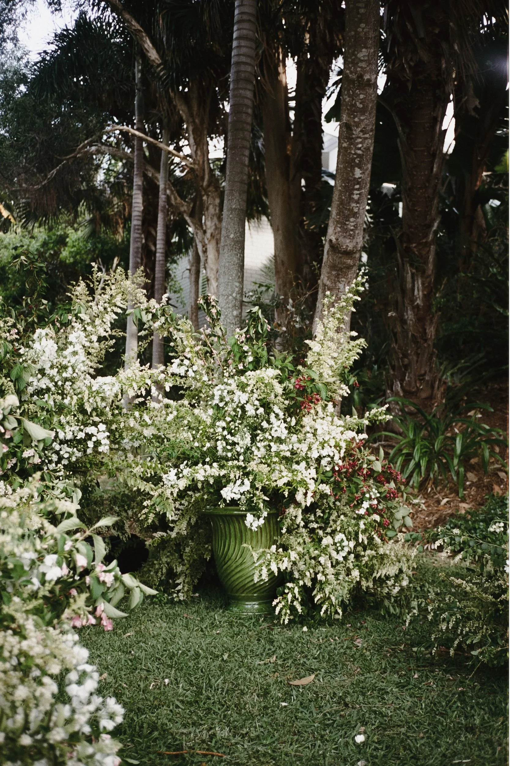 the-petal-project-holly-will-07.jpg