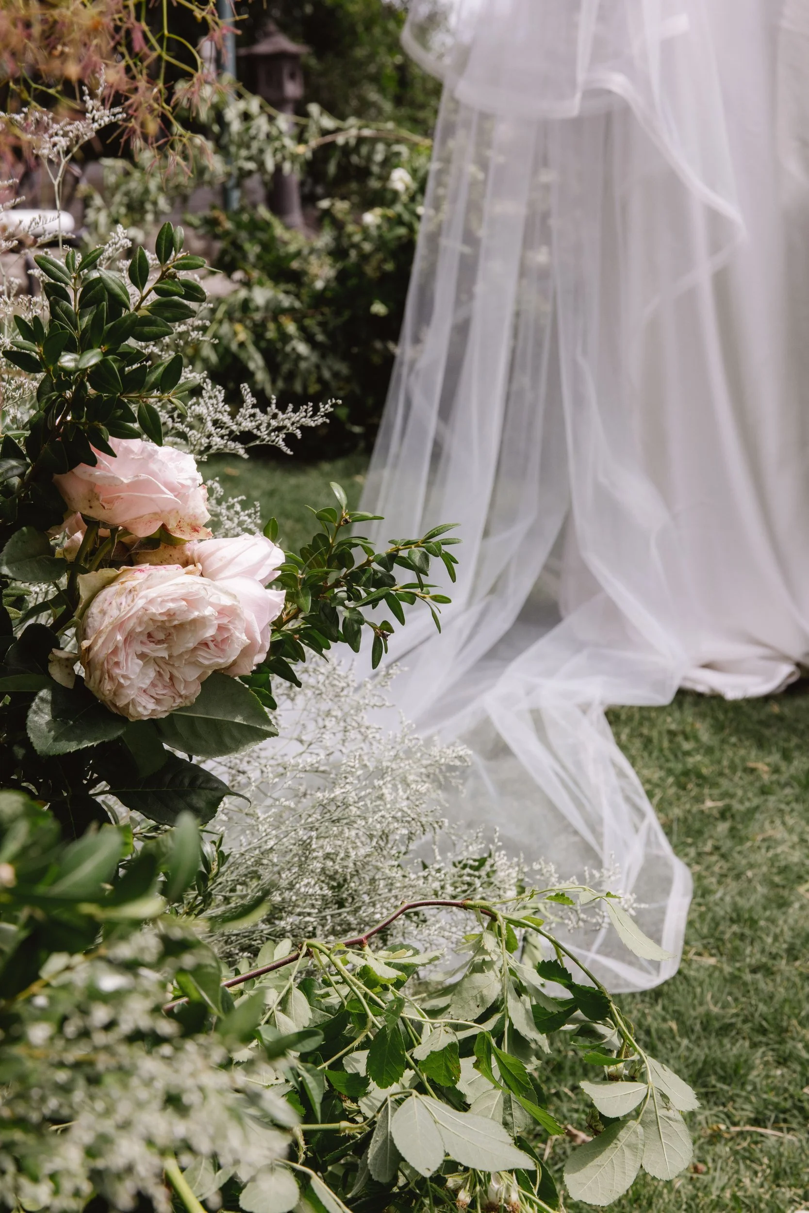 the-petal-project-ashika-ryan-25.jpg