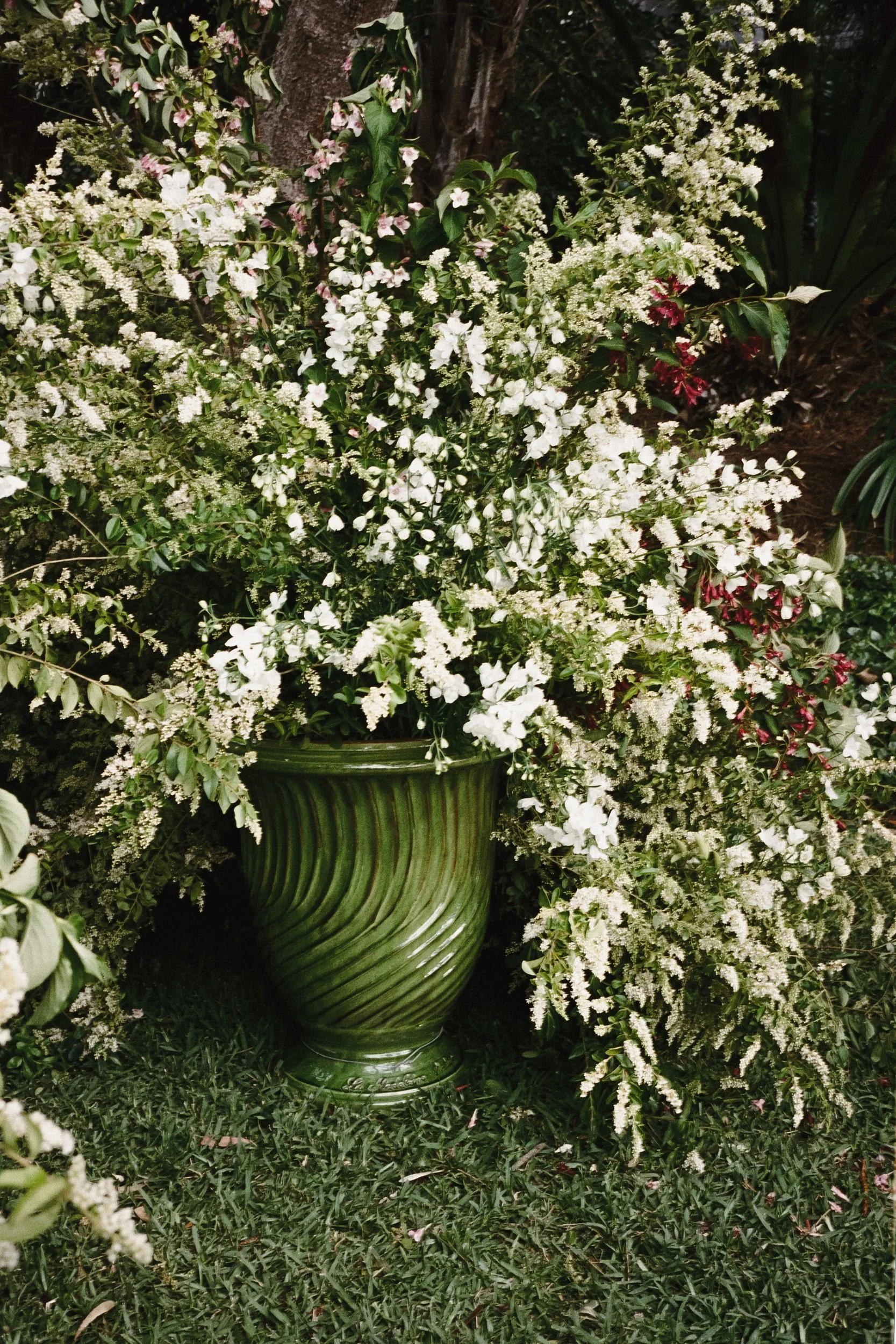 the-petal-project-holly-will-05.jpg