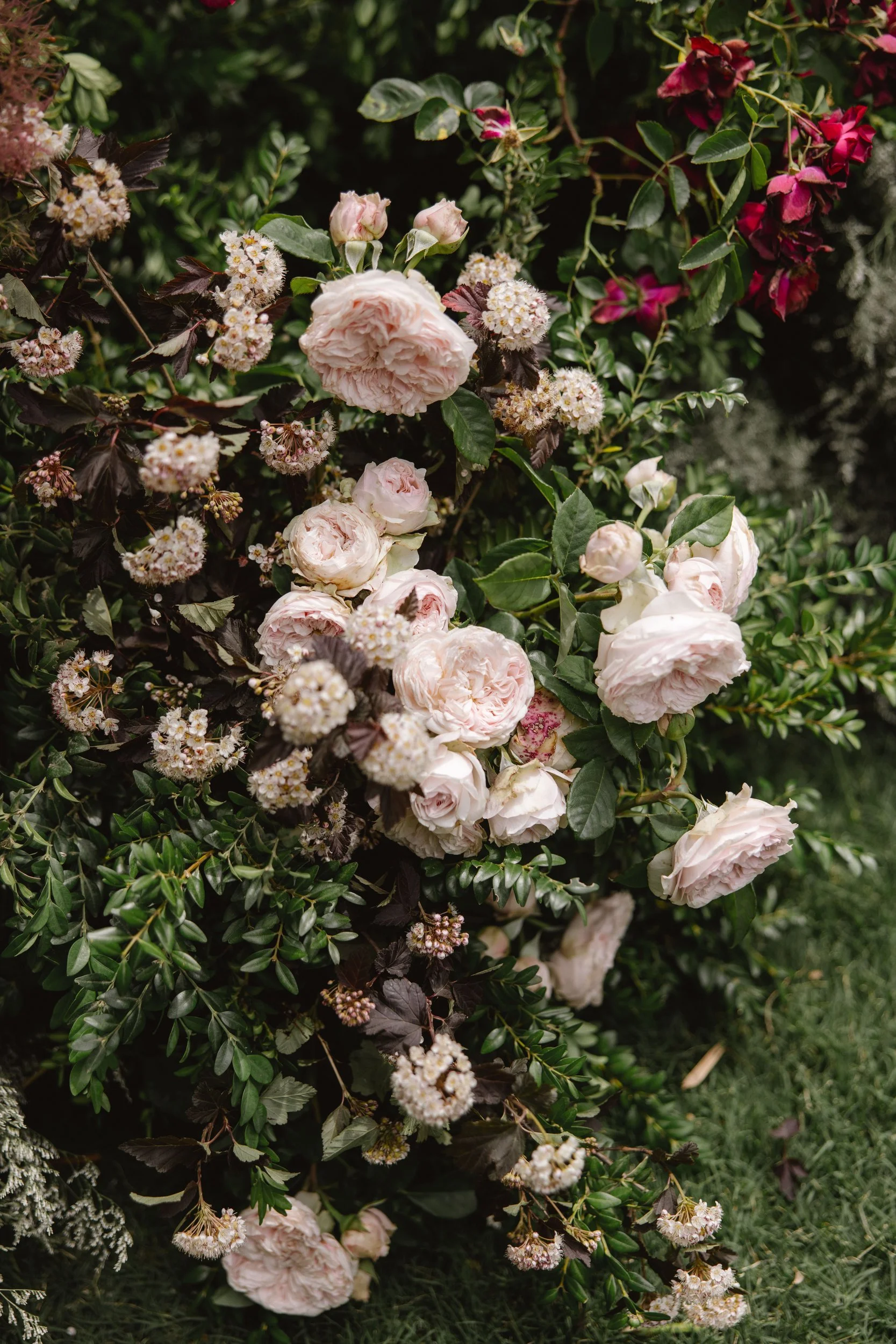 the-petal-project-ashika-ryan-21.jpg