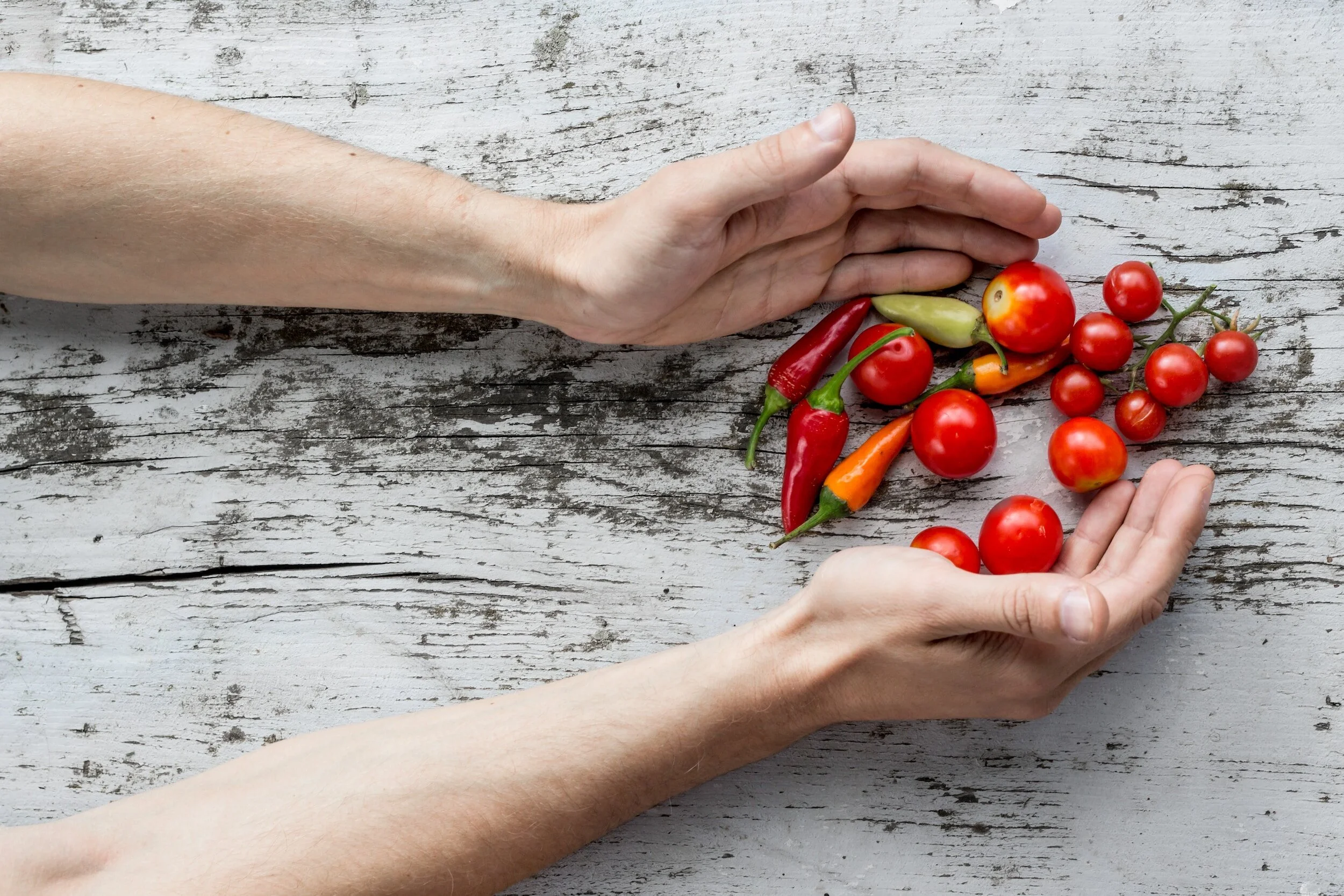 tomatoes and chillies with 2 hands on either side cupping them