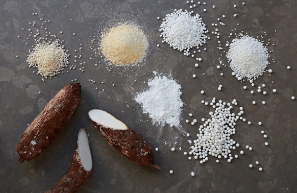Different types of cassava products