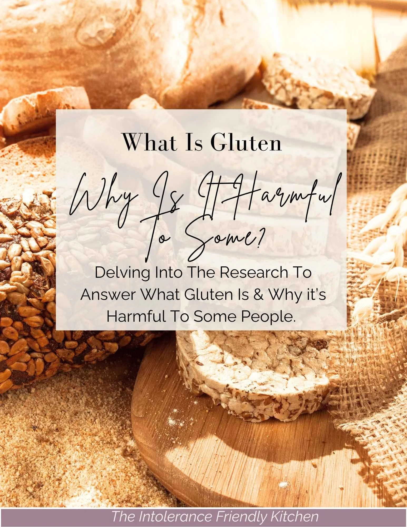 What is gluten, and why is it harmful to some?
