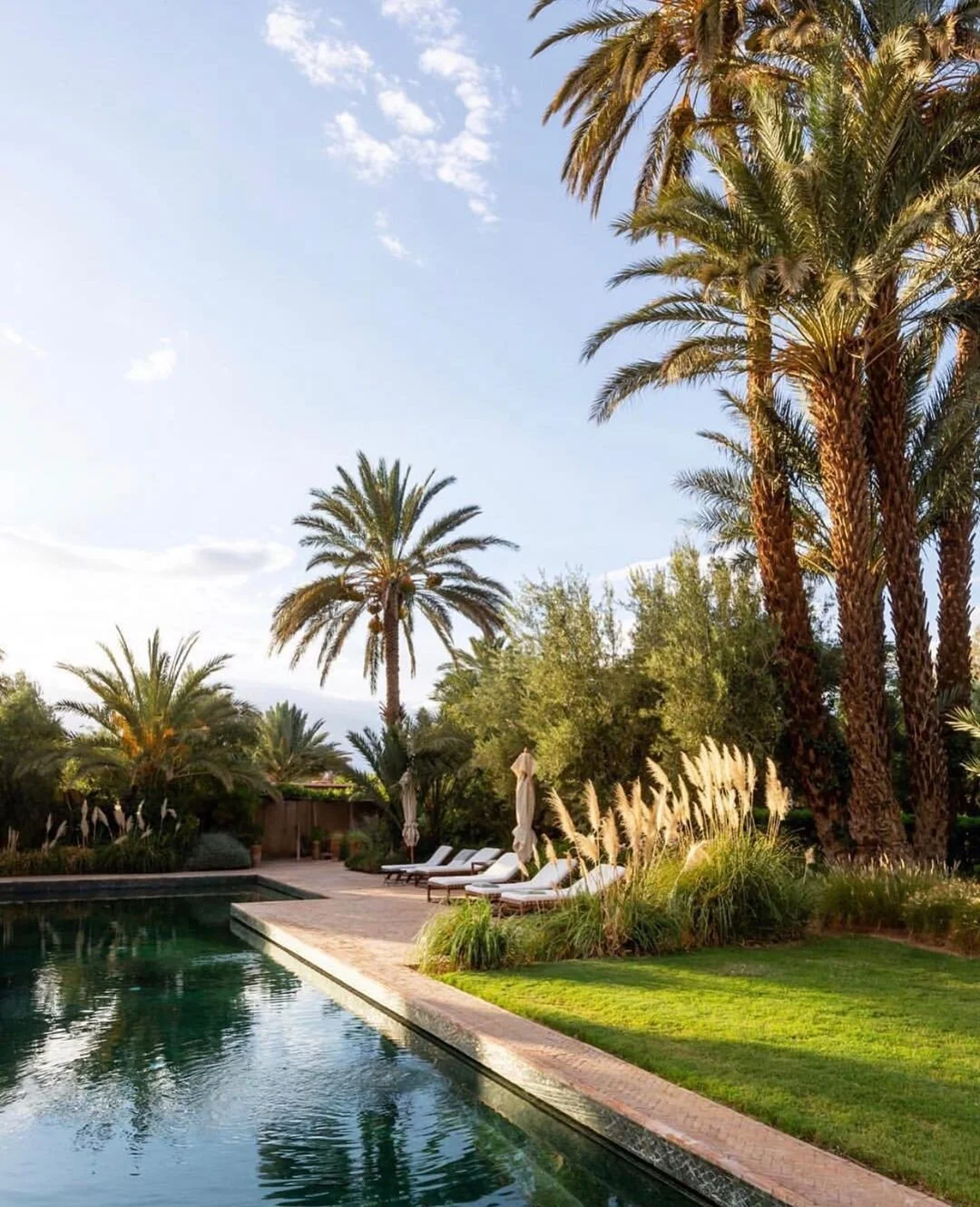 The accounts to follow to make you feel you’ve been away