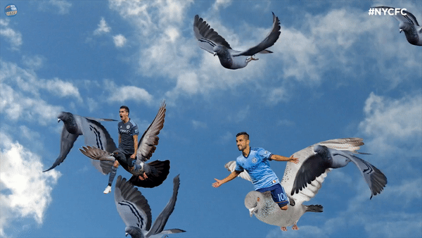 ezgif.com-video-to-gif (10).gif