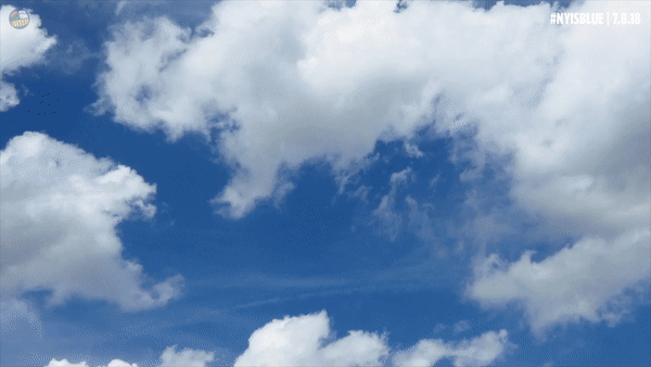 ezgif.com-video-to-gif (17).gif