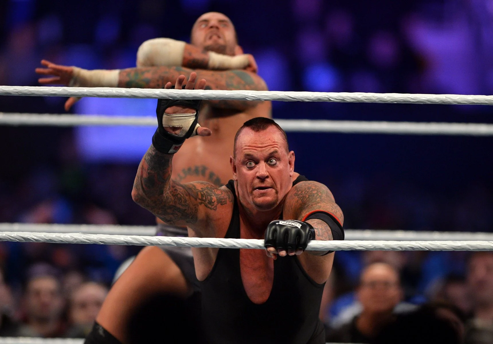 wwe_4689.jpg