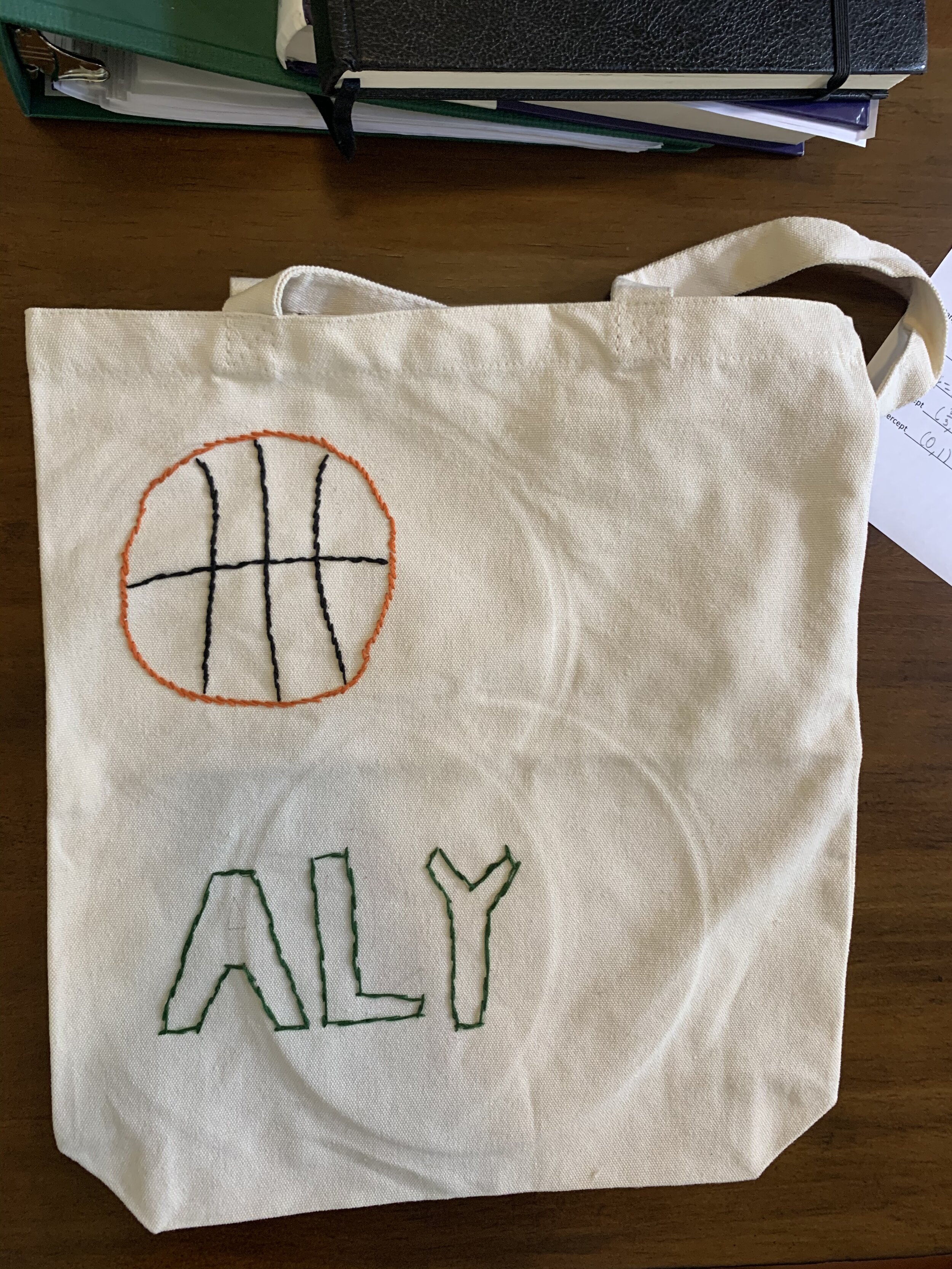 alyBag.jpeg