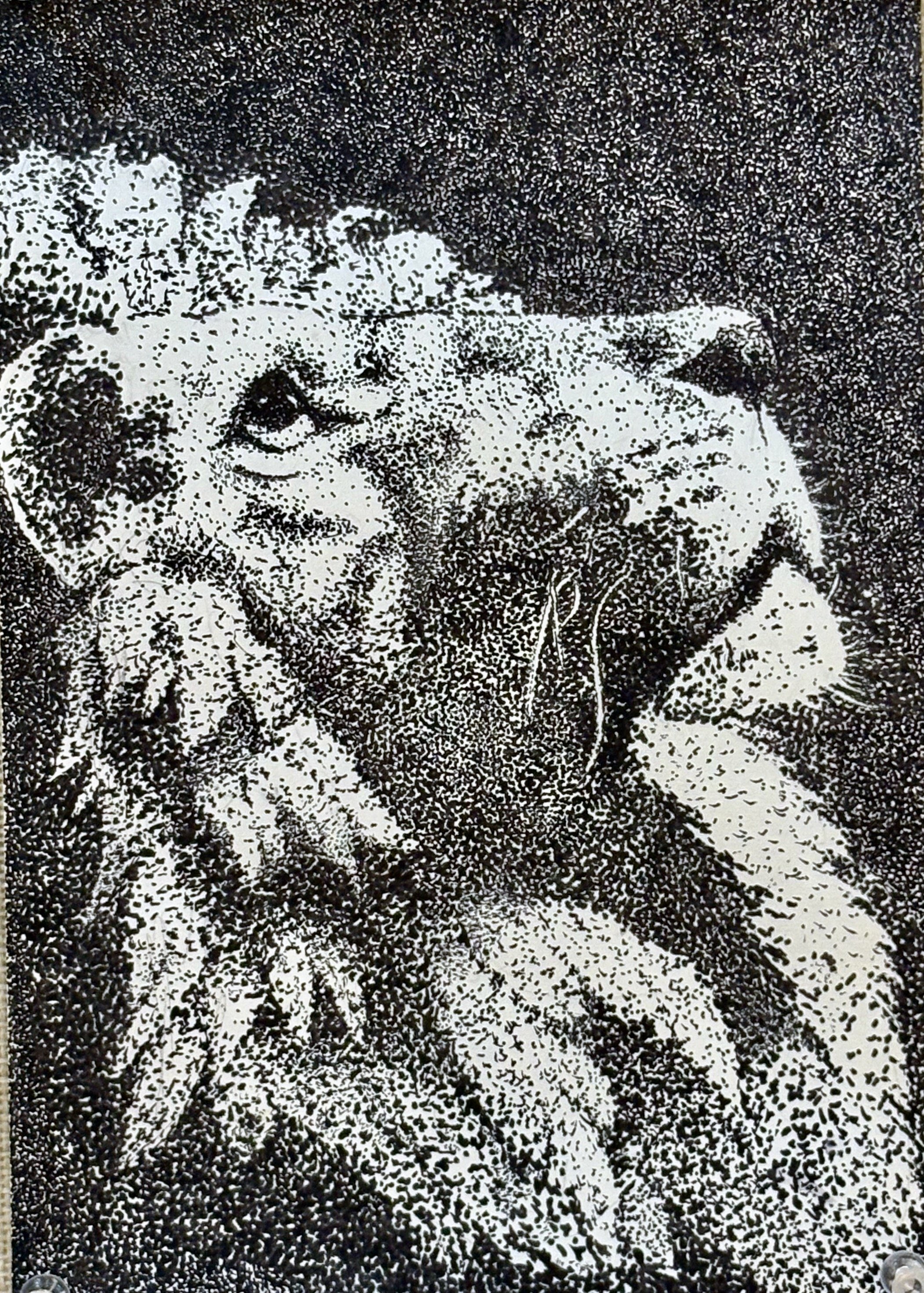 Maya, F8, Ink