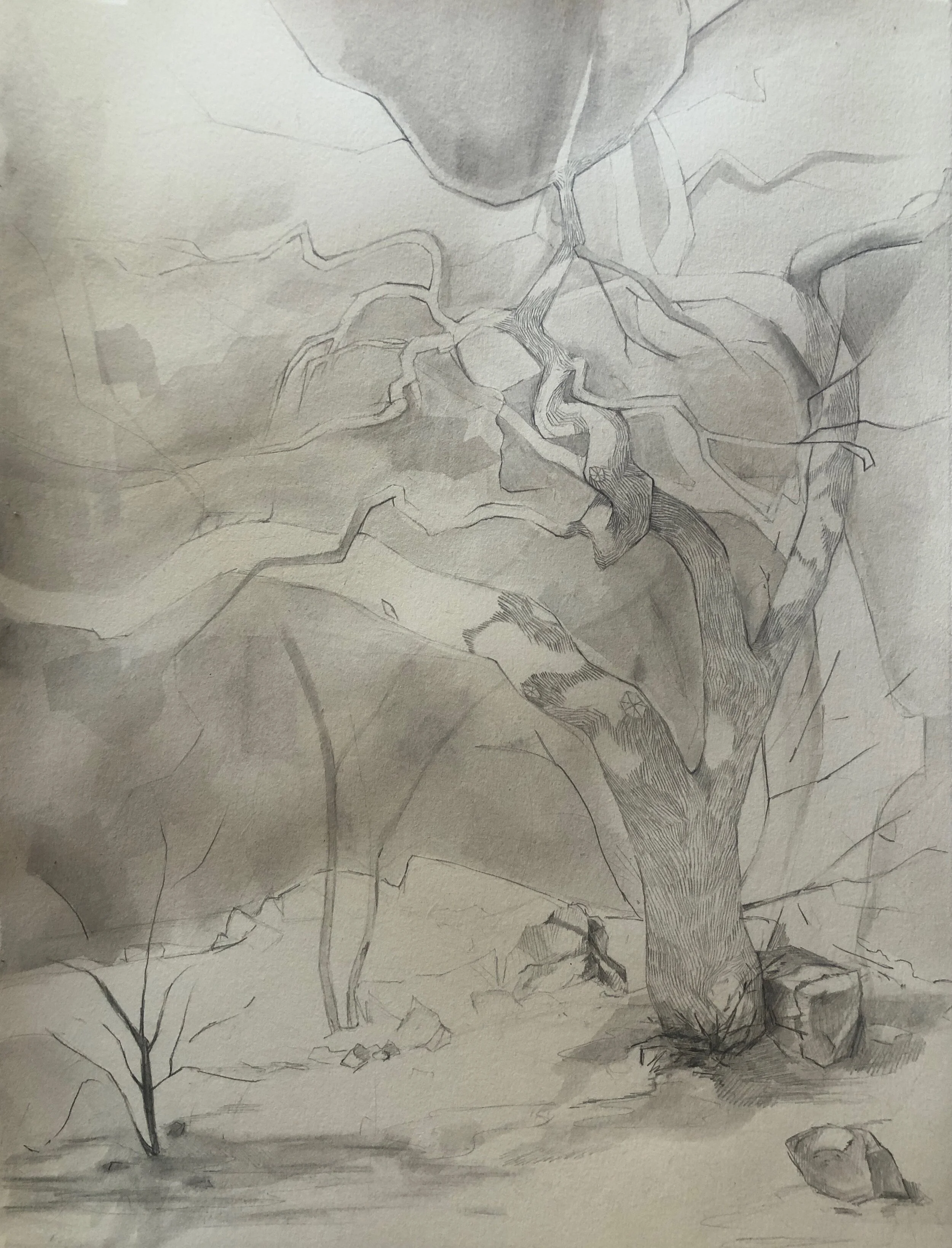 Evelyn C_Landscape with tree.jpeg