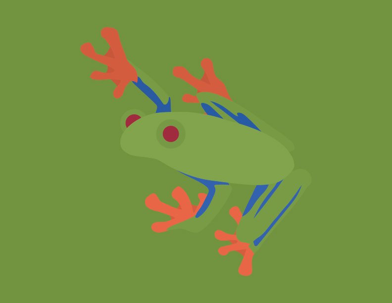 pace_tree_frog.jpg