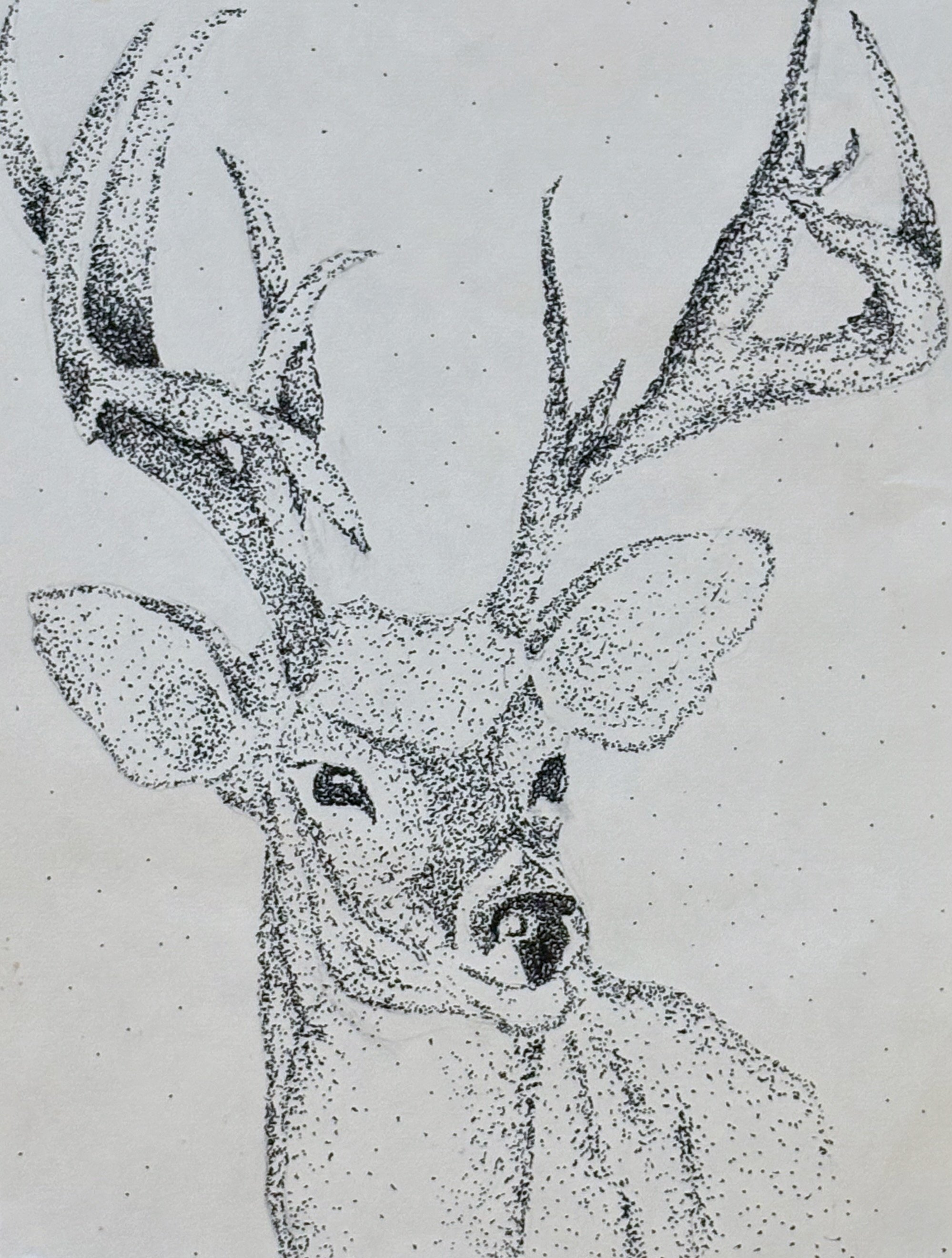 Lucy, F8, Ink