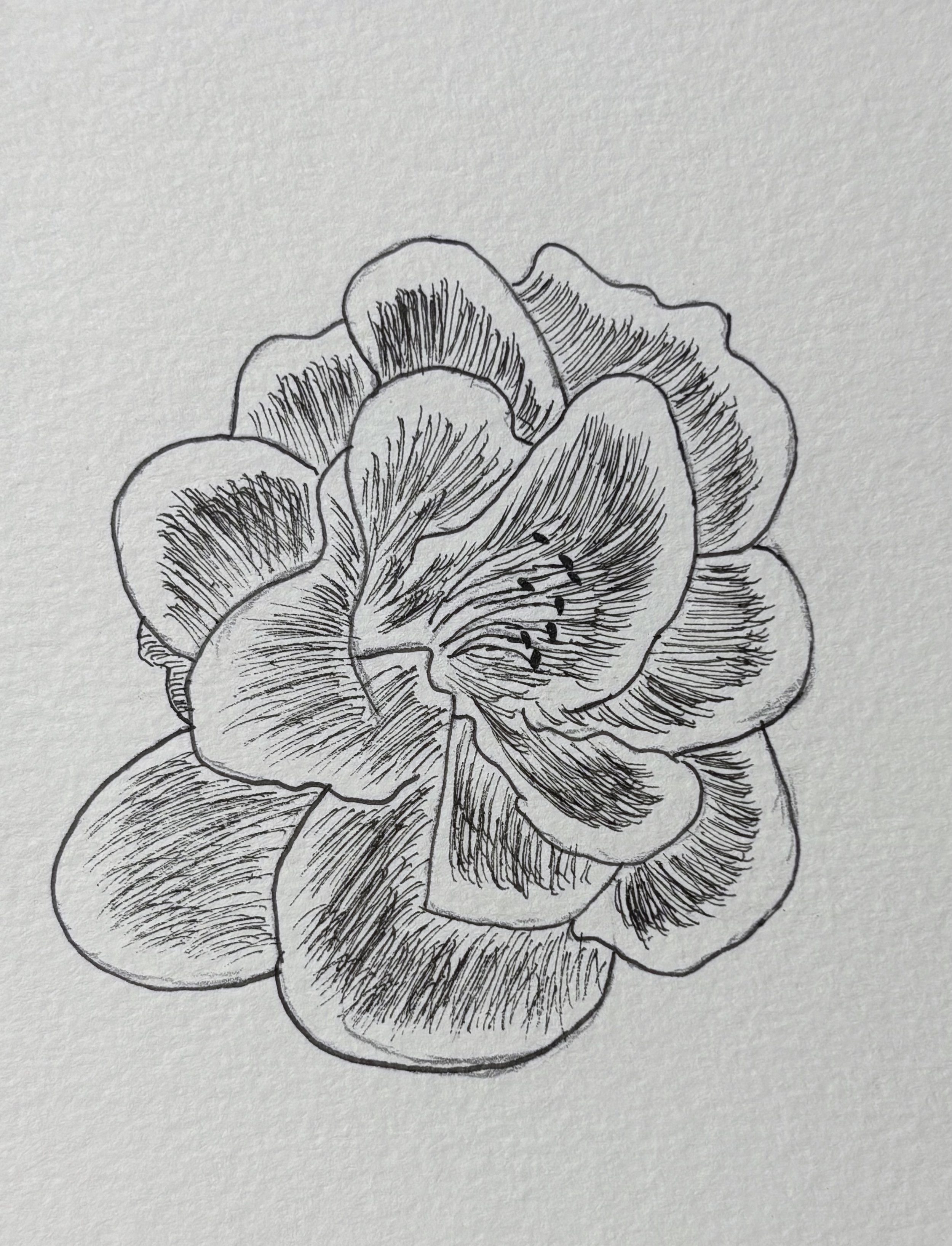 Danielle, F8, Ink