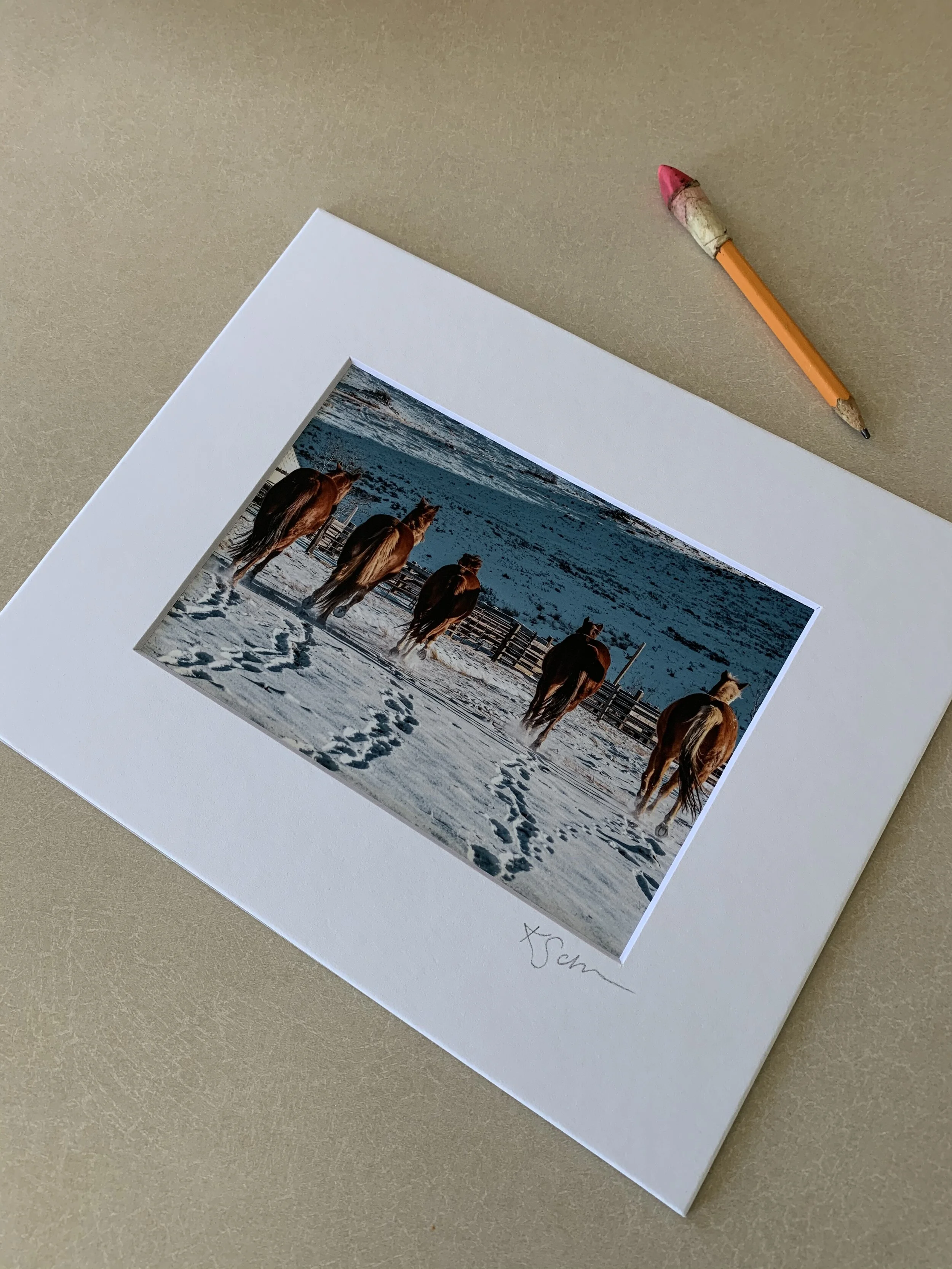 Matting Your Own Prints