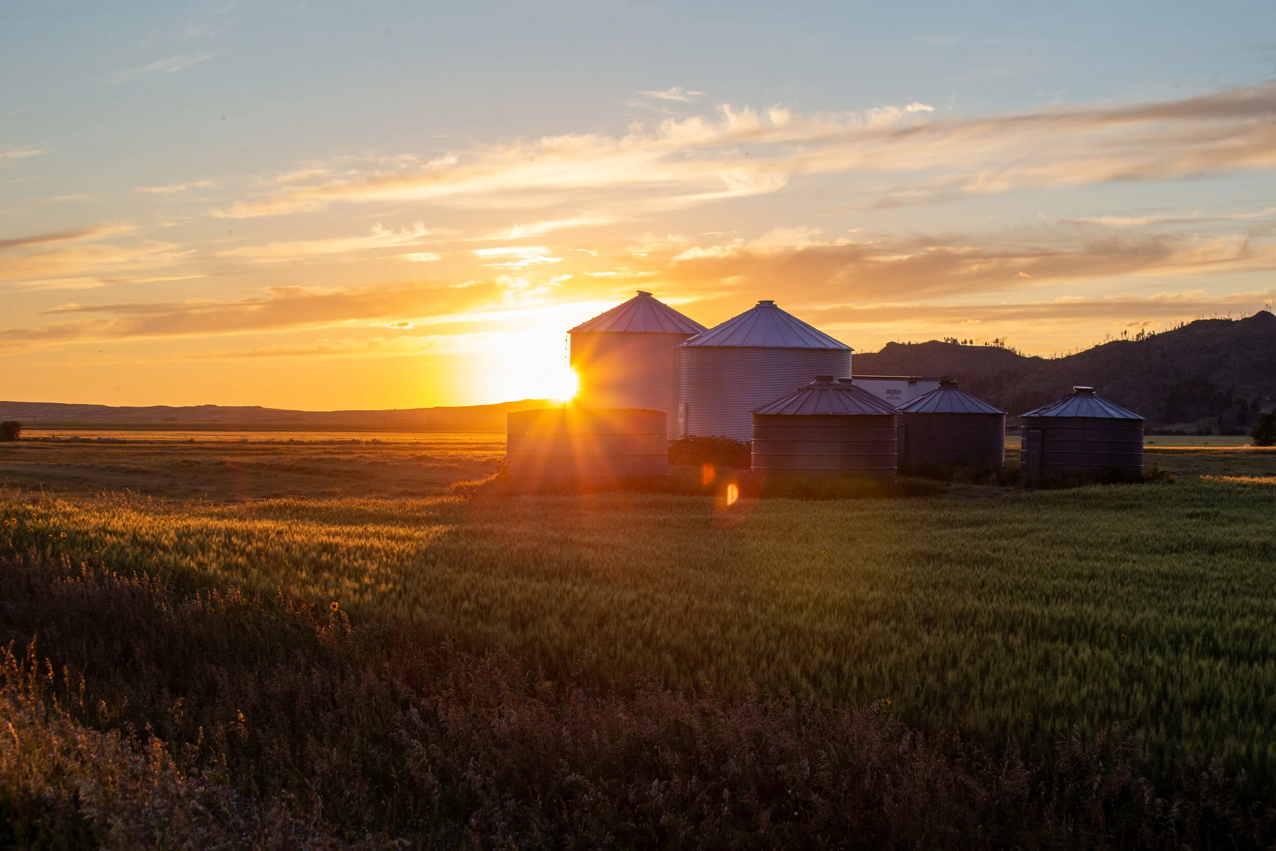 Rural Living 101  