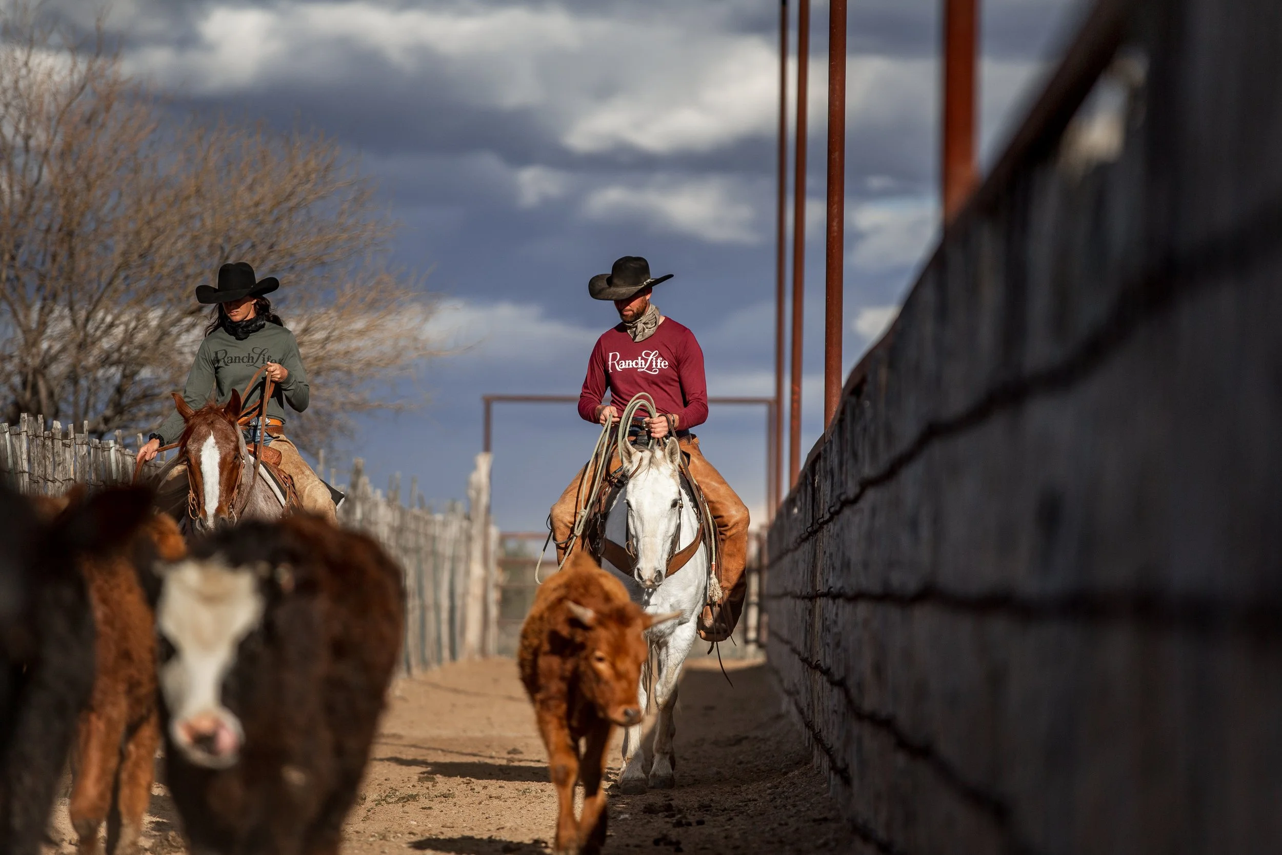 ranchlife_2023_arizona_adults_kschurr-378.jpg