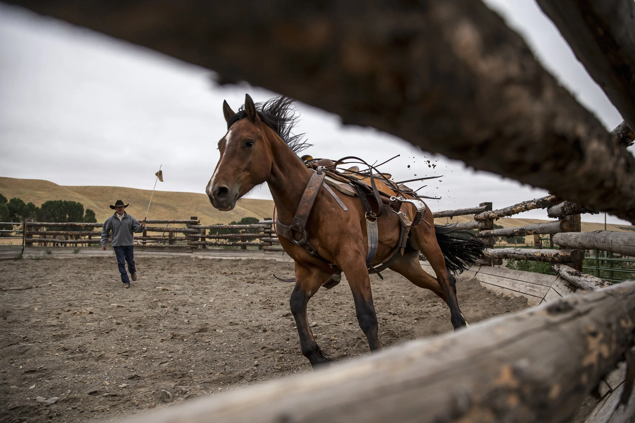 2024_schaeferoutfitter_fallwinter_highlights_pitchforkranch_kschurrphoto-37.jpg