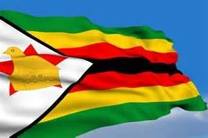 Without Major Political and Legal Reforms Zimbabwe Could Become a Failed State