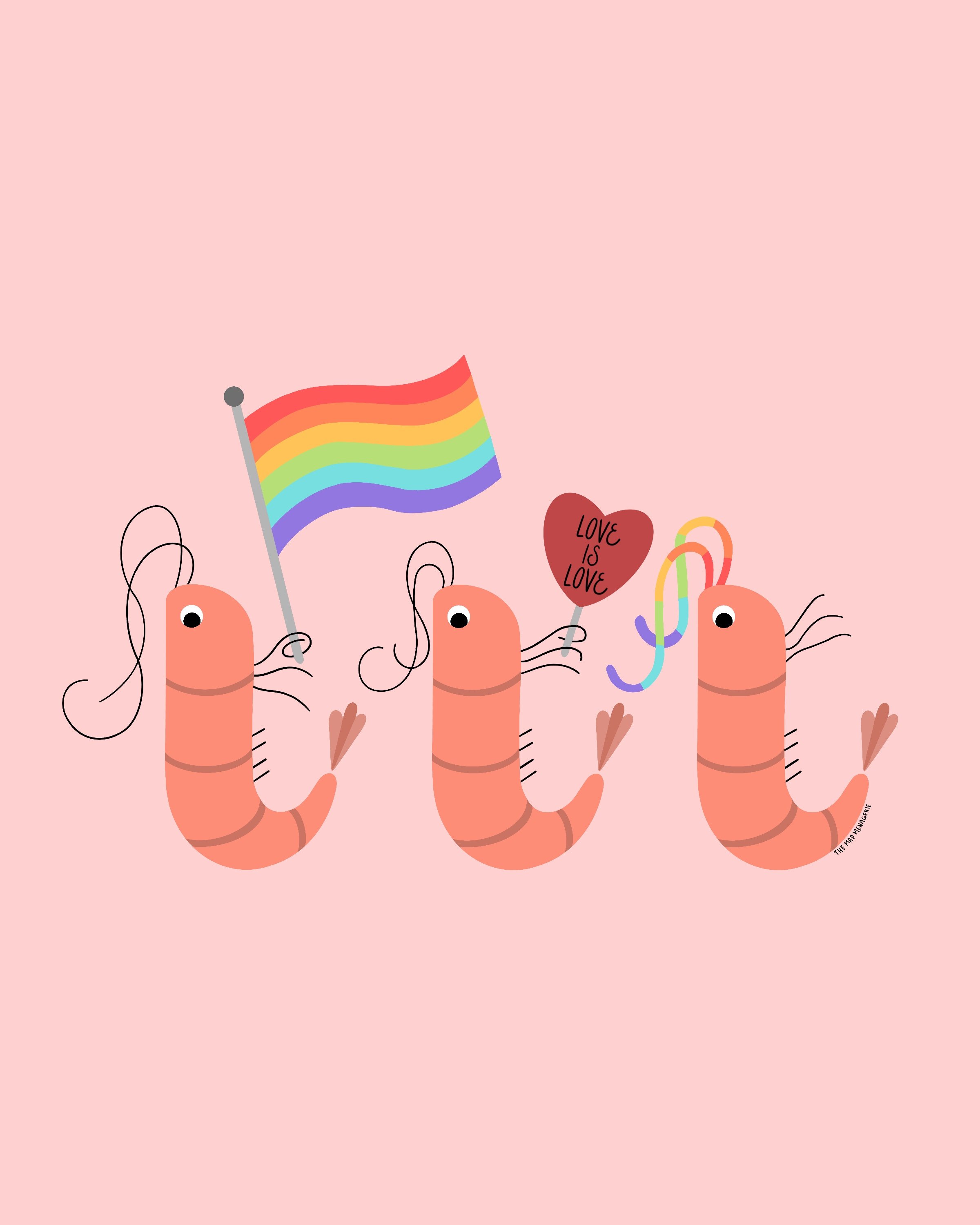 Parade of Prawns