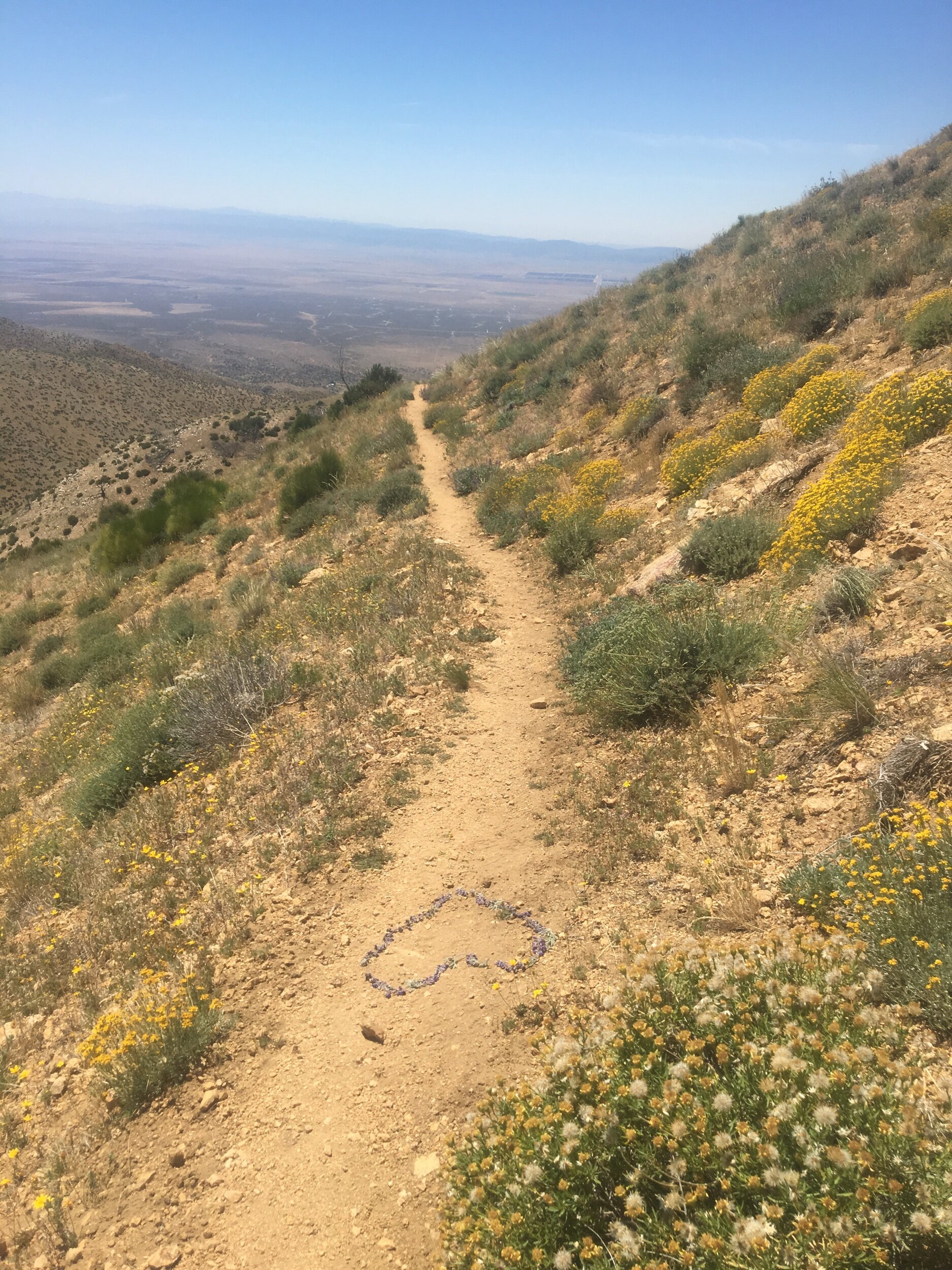 PCT trail