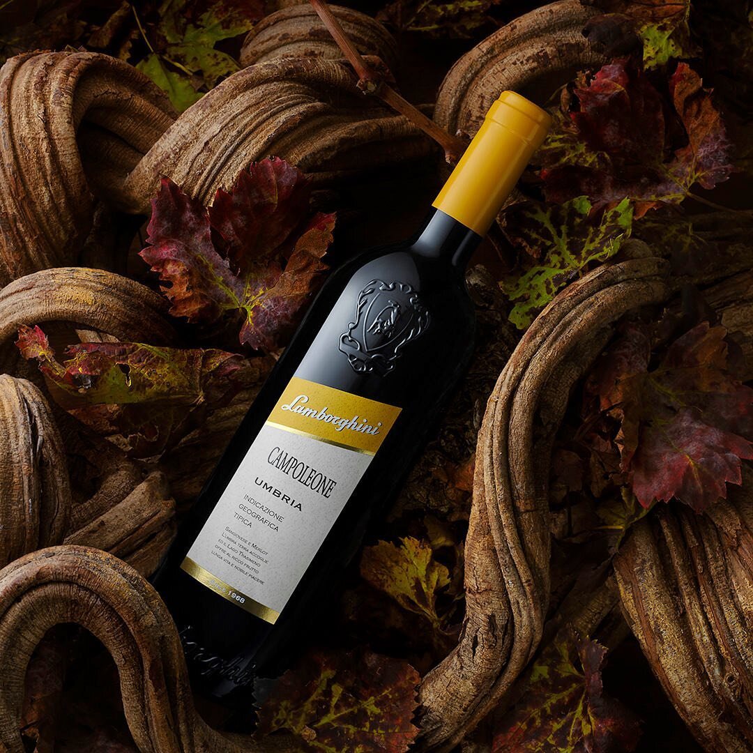 AUTUMN VIBES 🍁
a special setting of woods that surround our precious red wine.
Treat yourself to a cuddle with our autumn scents of Sangiovese.

#campoleone 
A red wine for long ageing, an elegantly complex wine with a solid structure. It has a deep