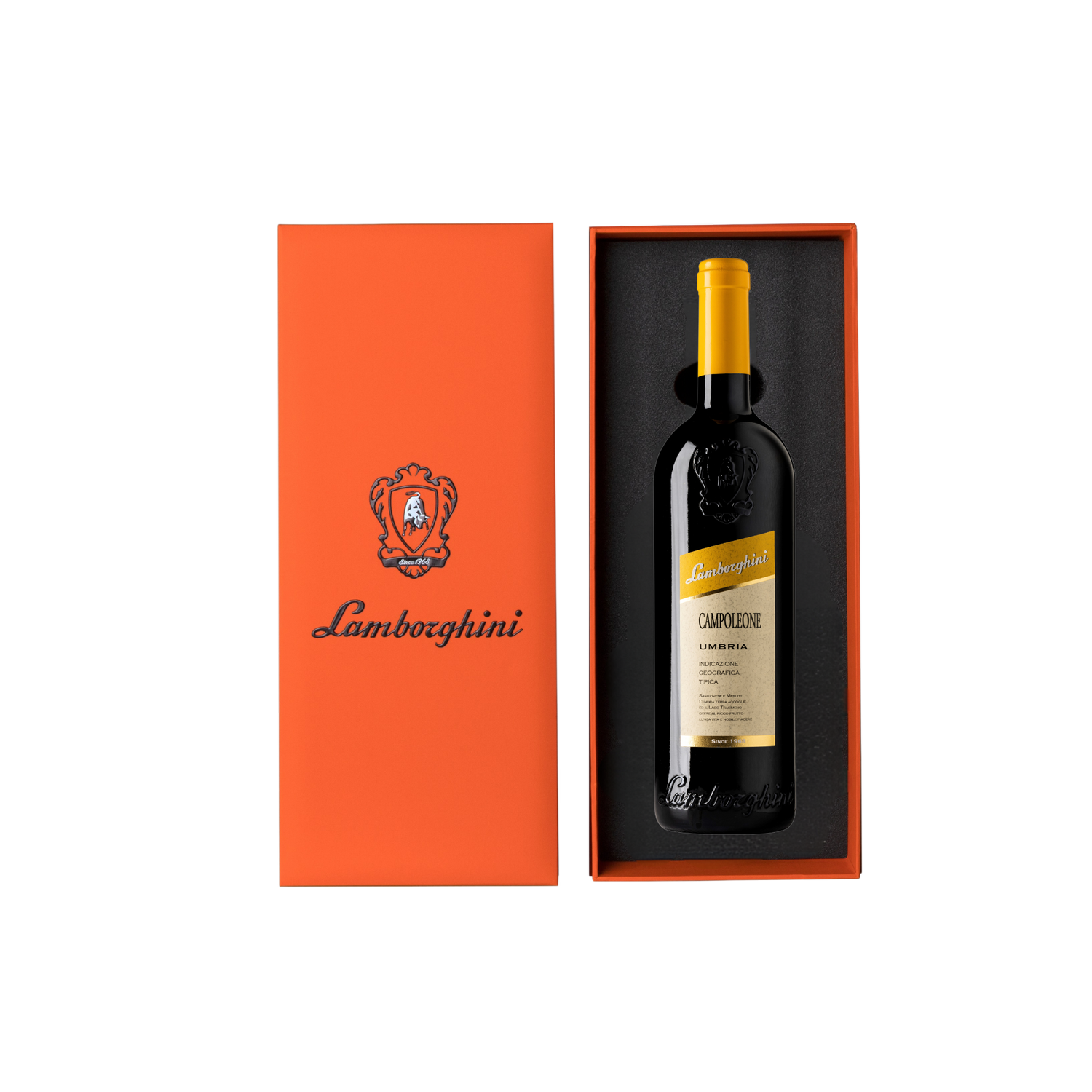 CAMPOLEONE.png?format=1500w