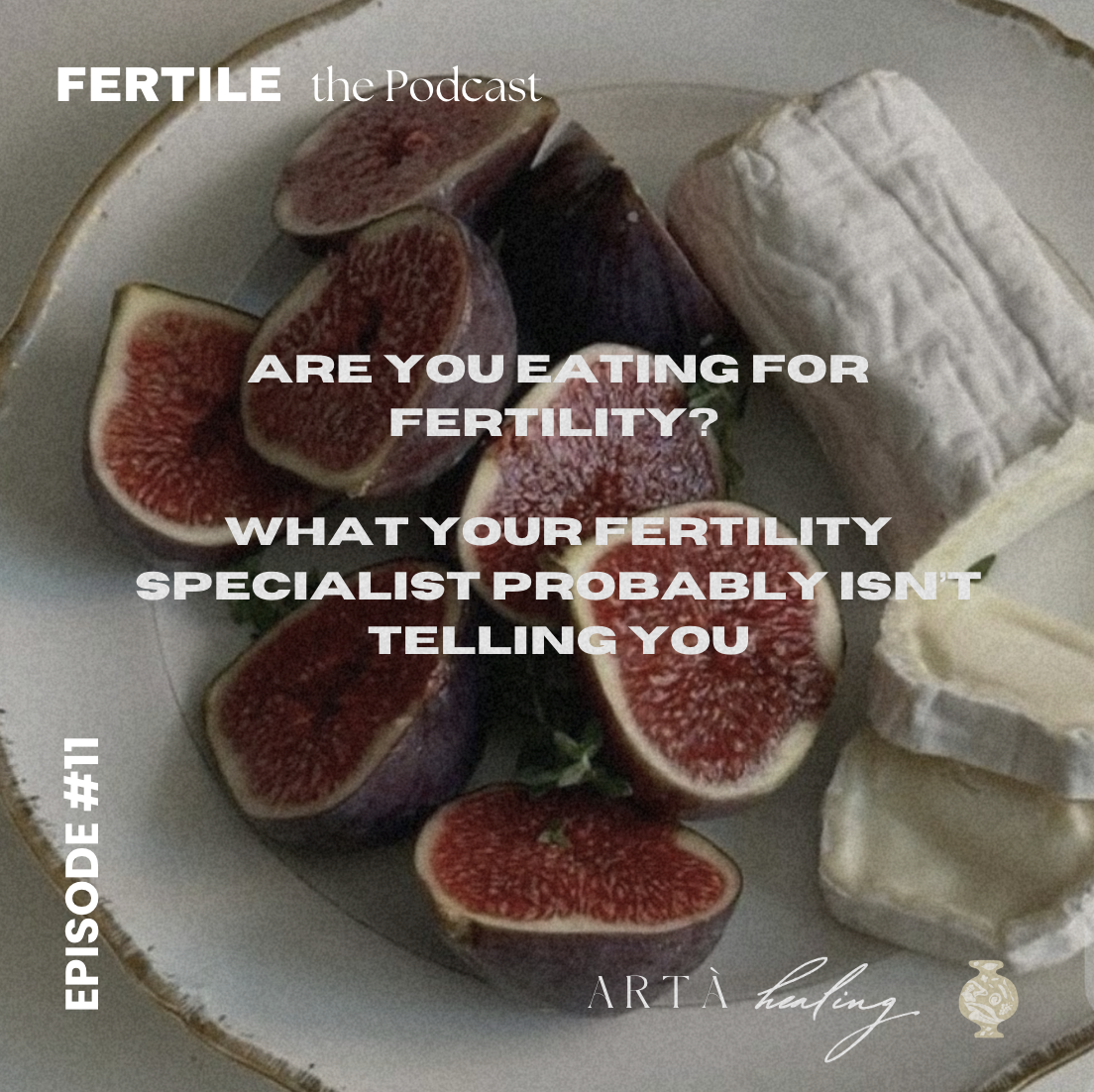 Ep. 11 - Are you eating for Fertility? what your fertility specialist probably isn’t telling you