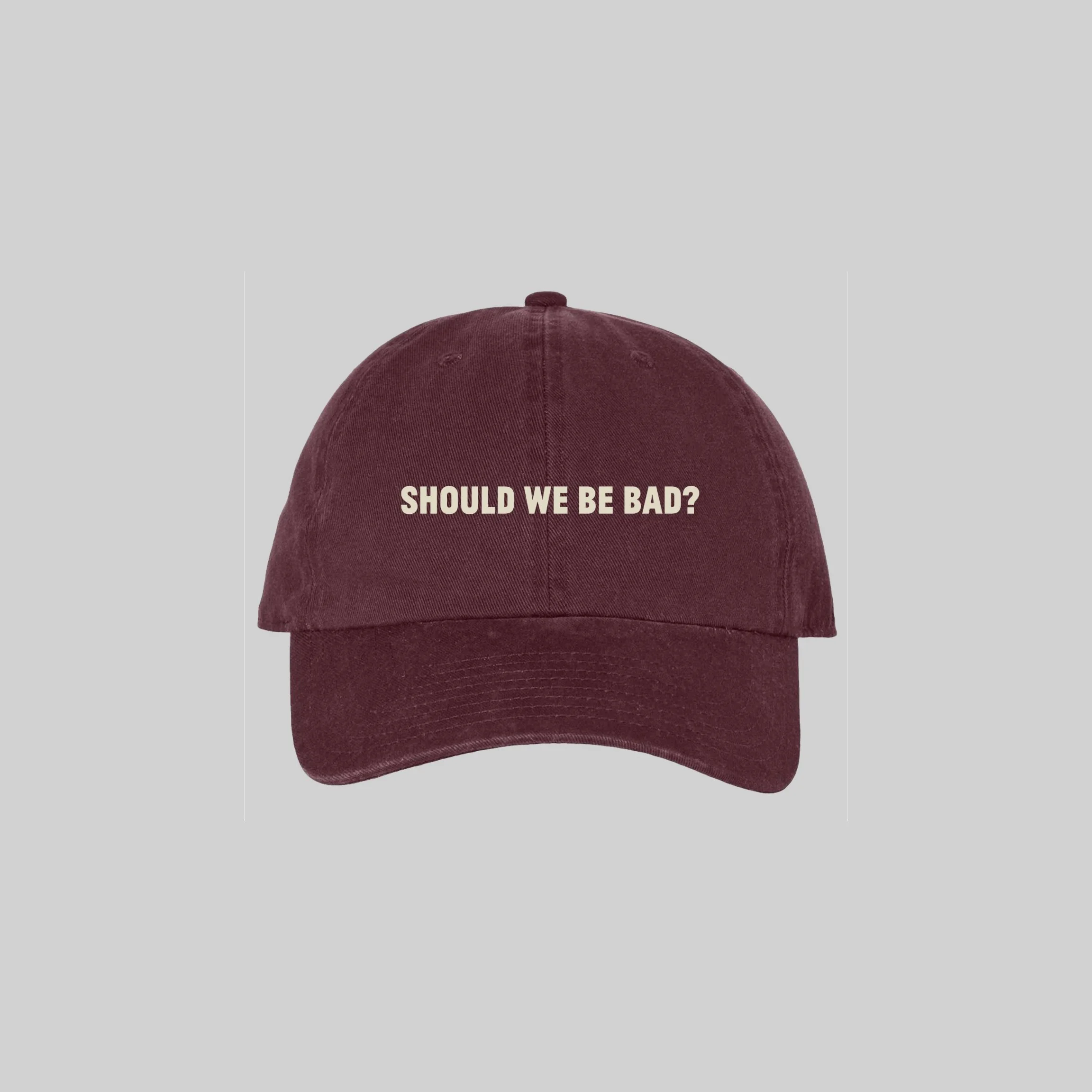ShouldWeBeBad1.jpg