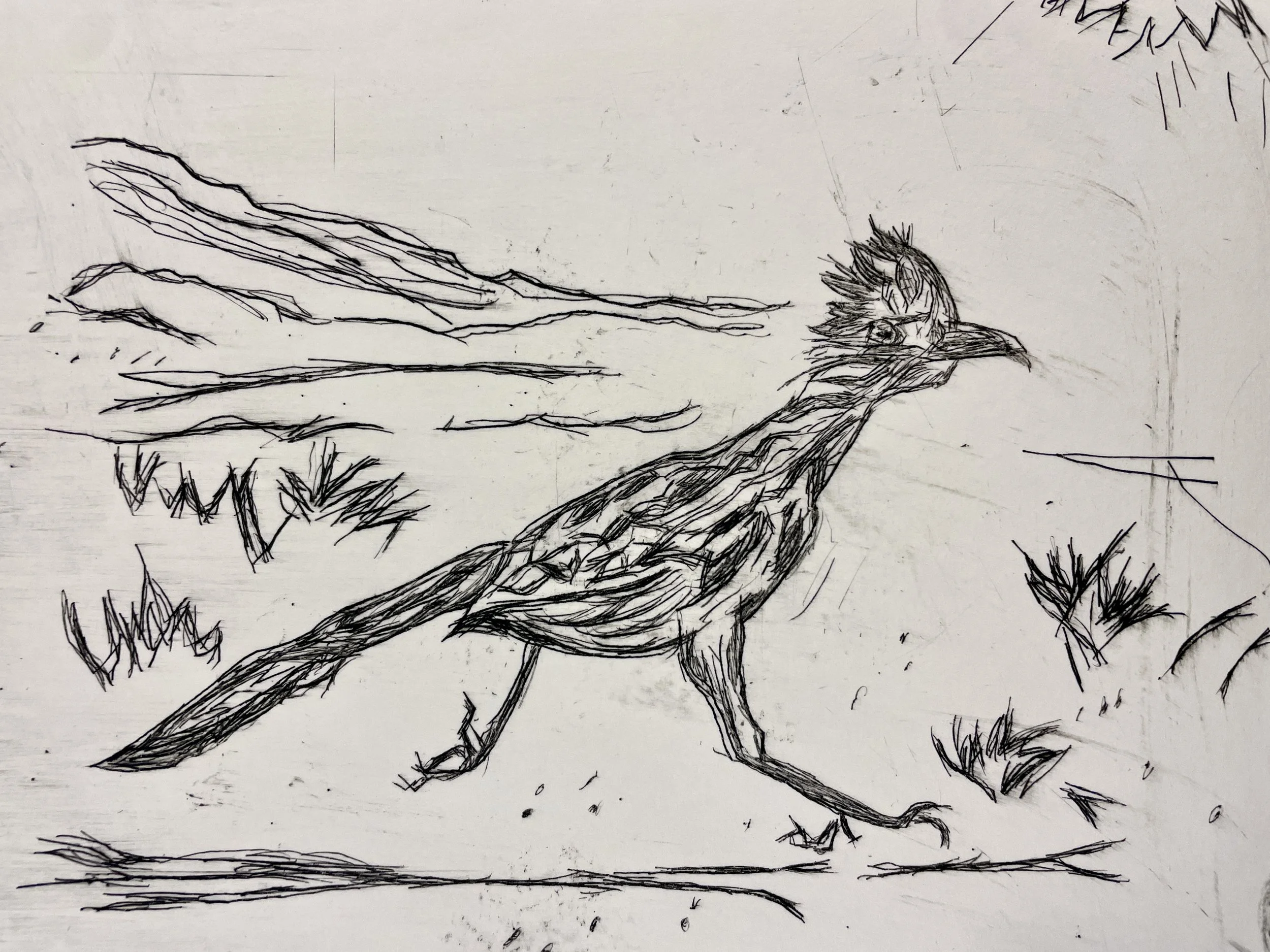 Explore the Printshop: Intro to Drypoint 