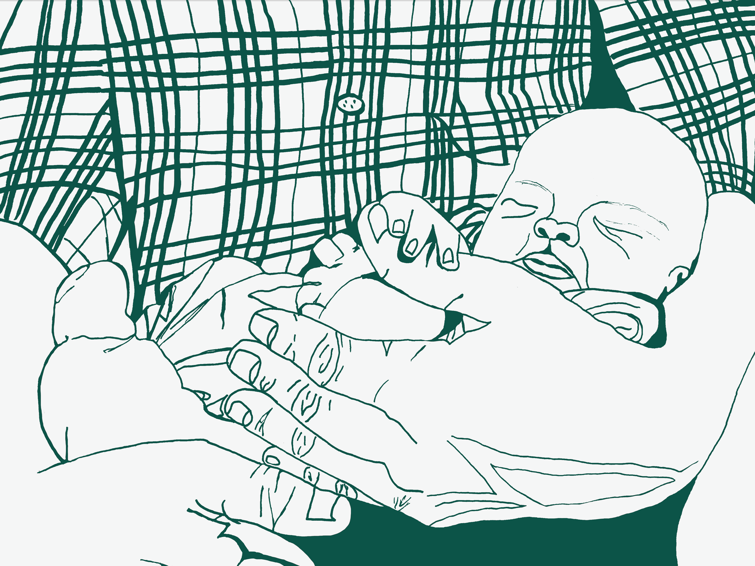 Digital Illrustration 