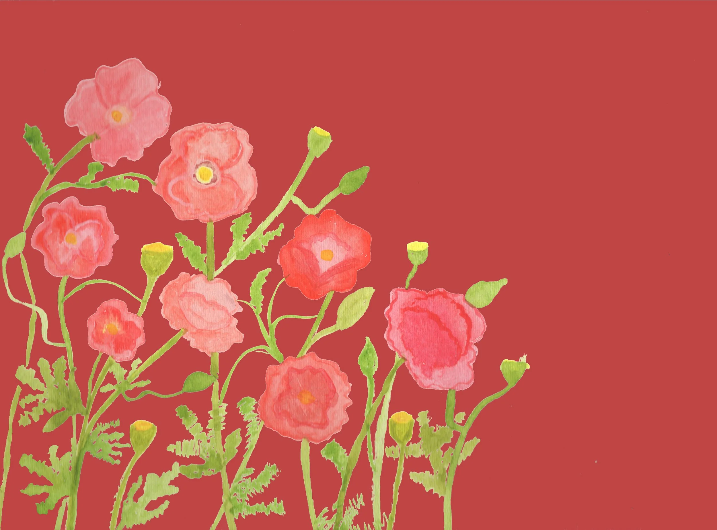 poppy watercolor.jpg