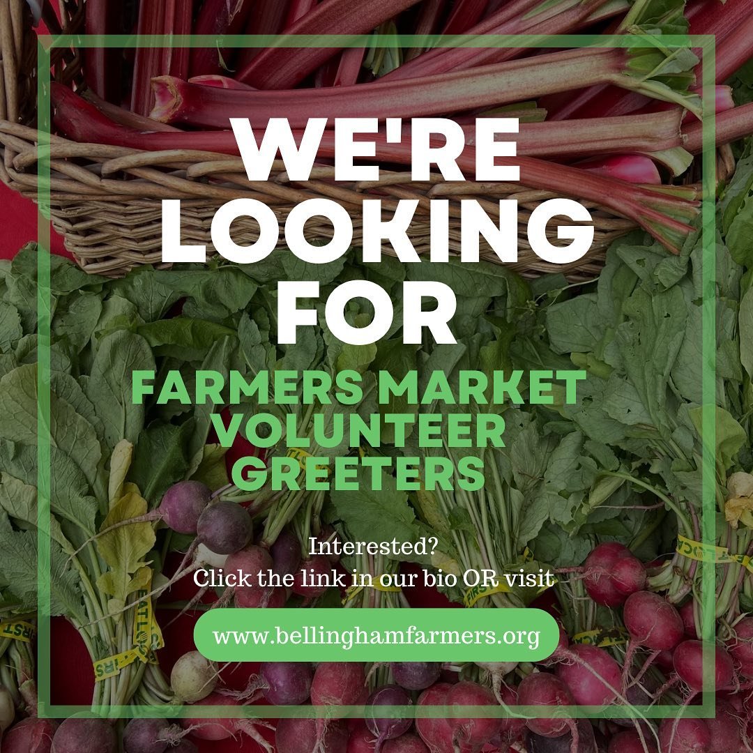 Wanna join the team? Click the link in our bio or visit our website for more information! 🥕

#BellinghamFarmersMarket #ShopLocal