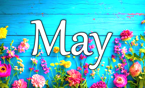 maypic.png