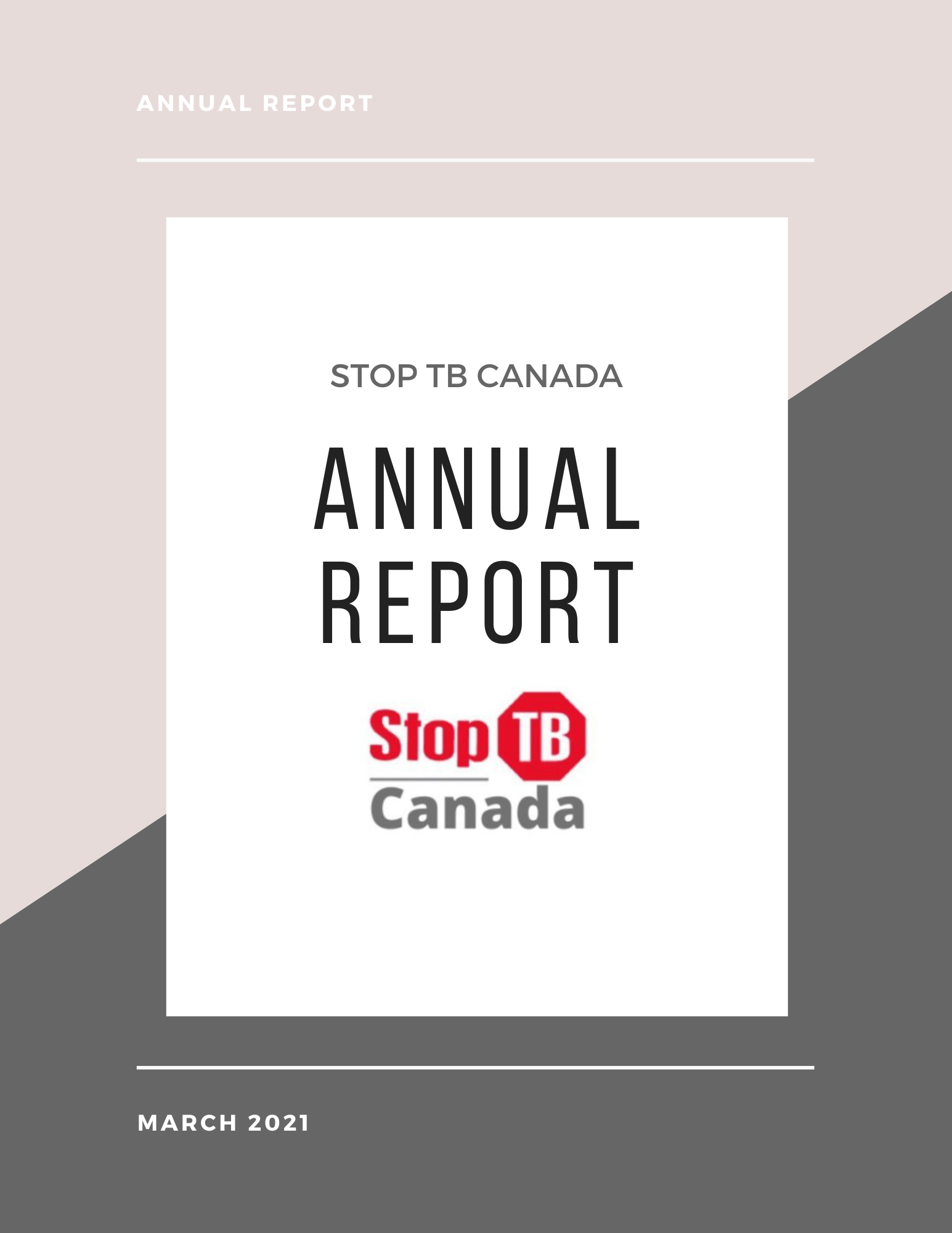 The Launch of our First Annual Report