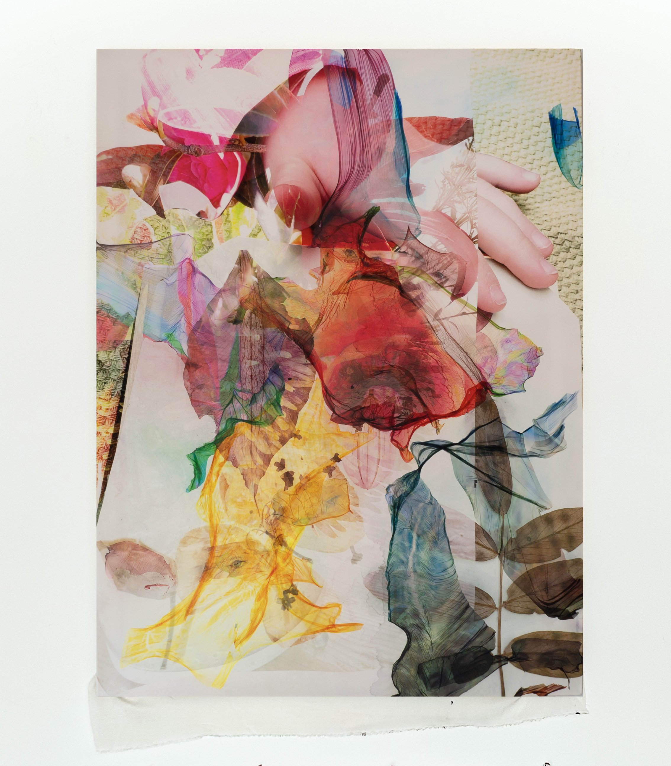 erin-bird-pressed-full-view.jpg