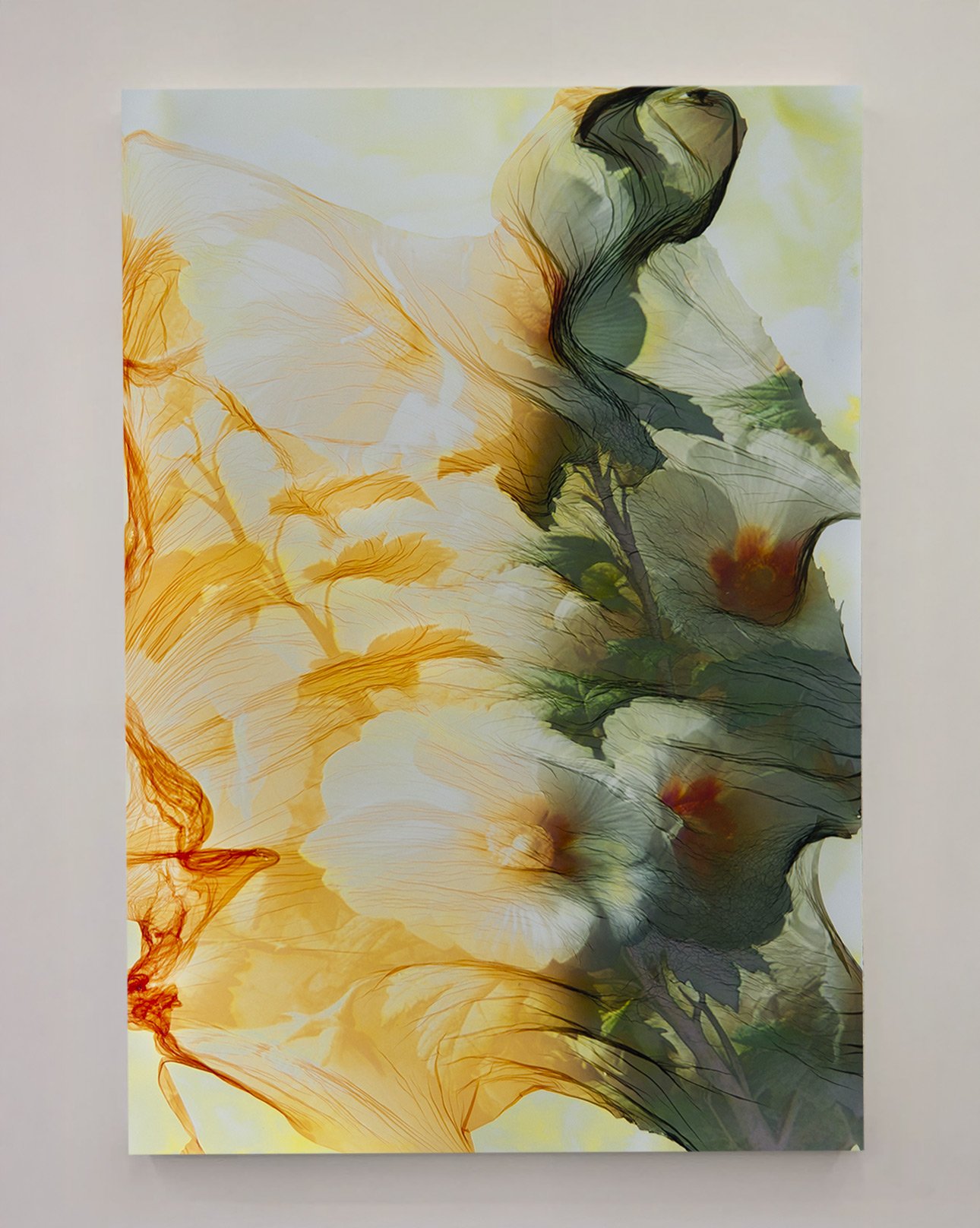 Untitled-1.jpg