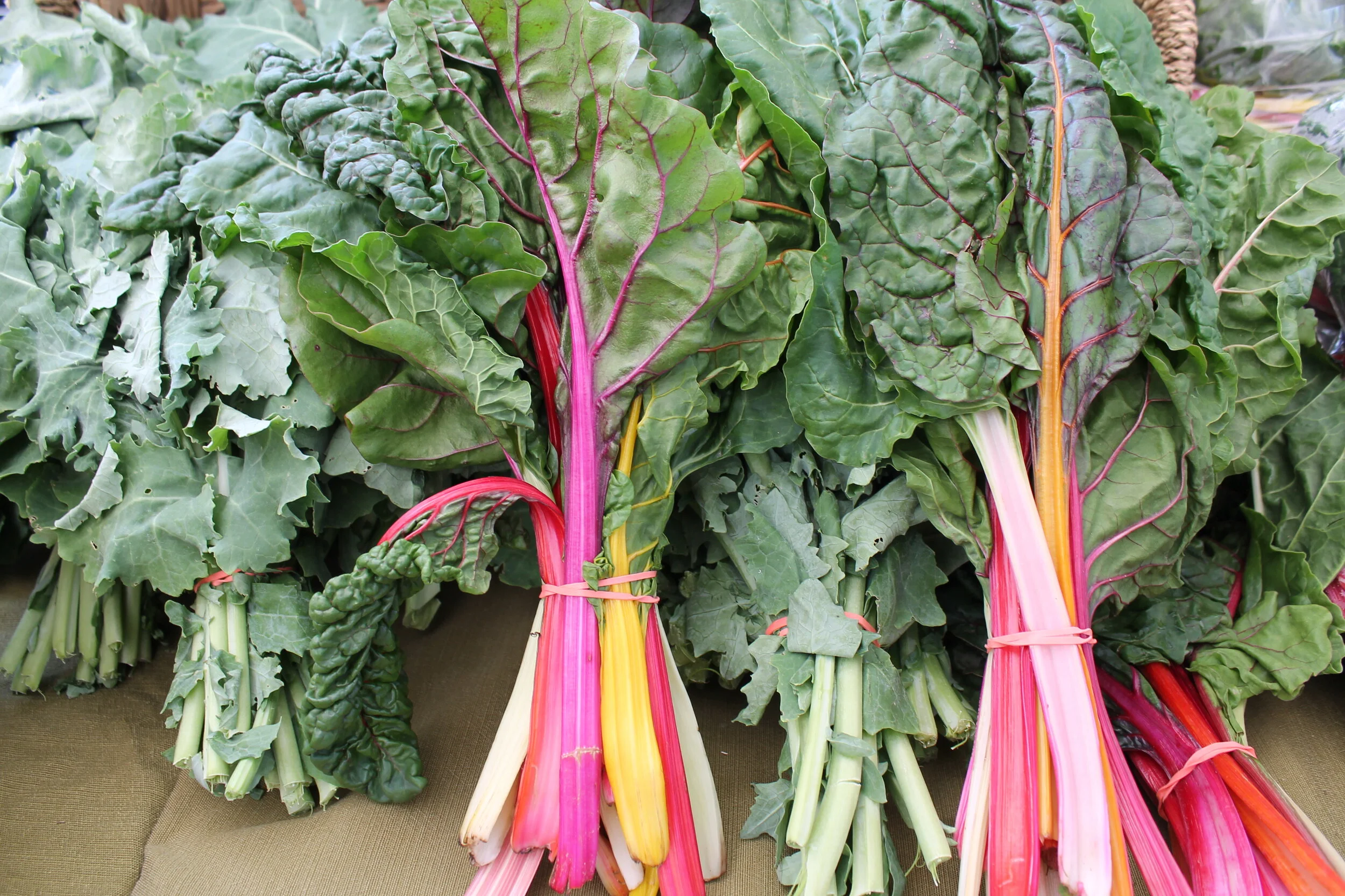 Bryn Mawr — Farm to City Markets