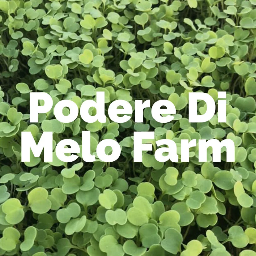 PodereDiMeloFarm.jpg
