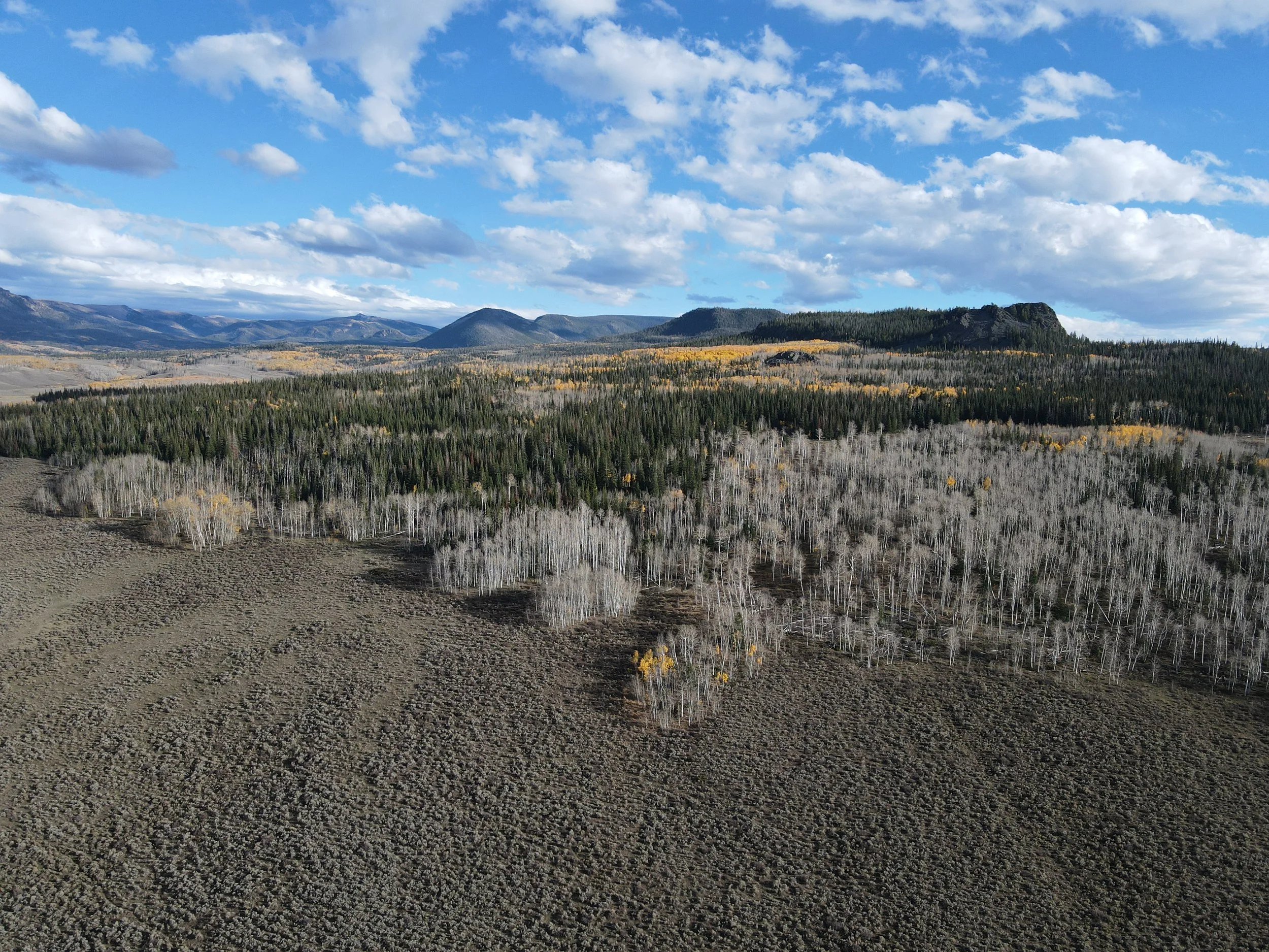 DJI_0327.JPG